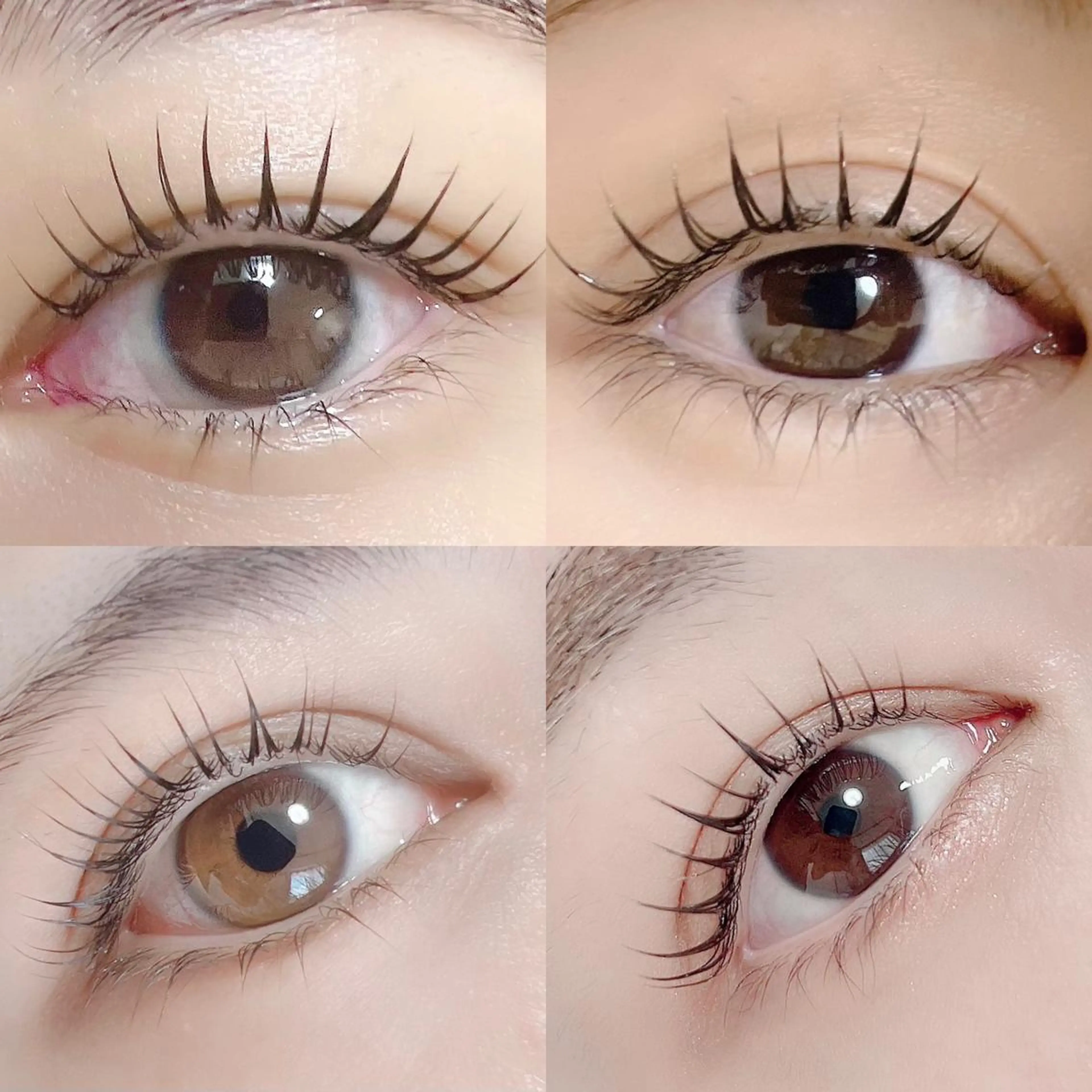 マツエク・マツパ 【那覇/束感まつ毛】 ｷｬﾒﾙのマツエク・マツパデザイン