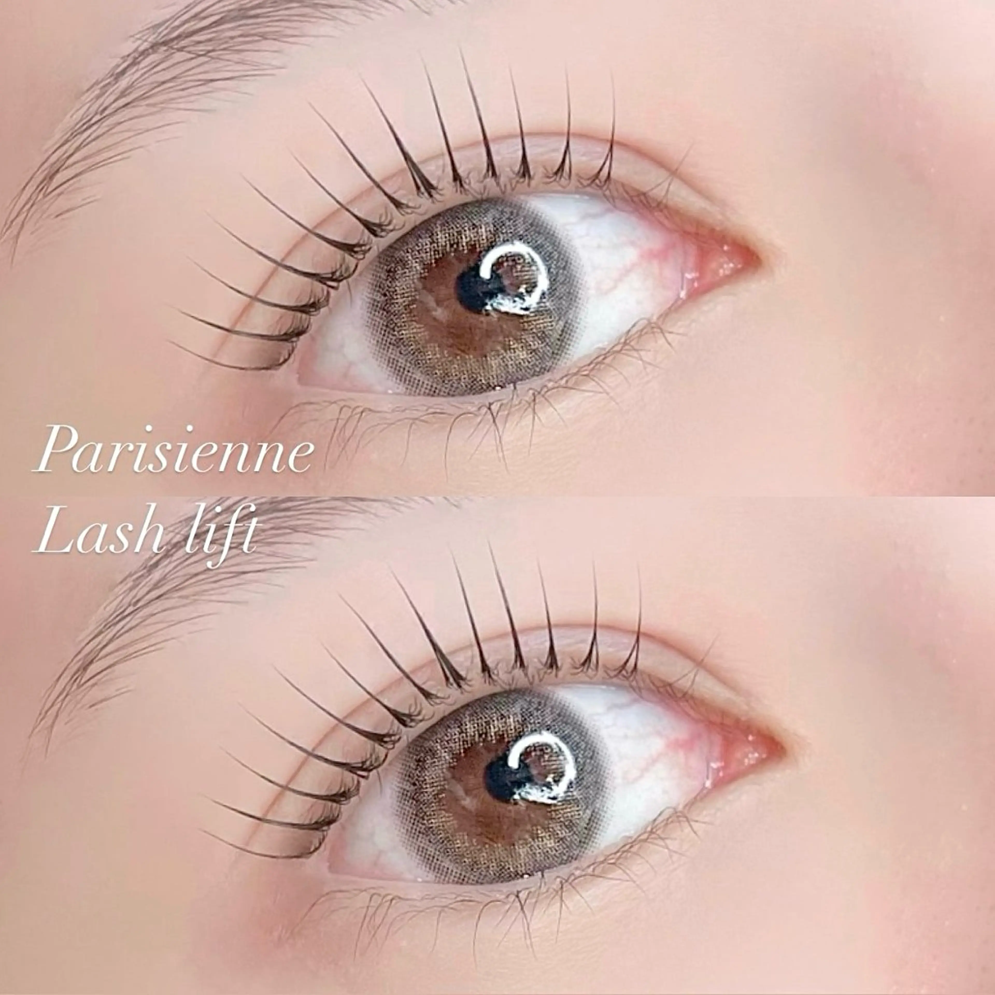 🩰パリジェンヌラッシュリフト➕束感コーティング仕上げ୨୧の写真