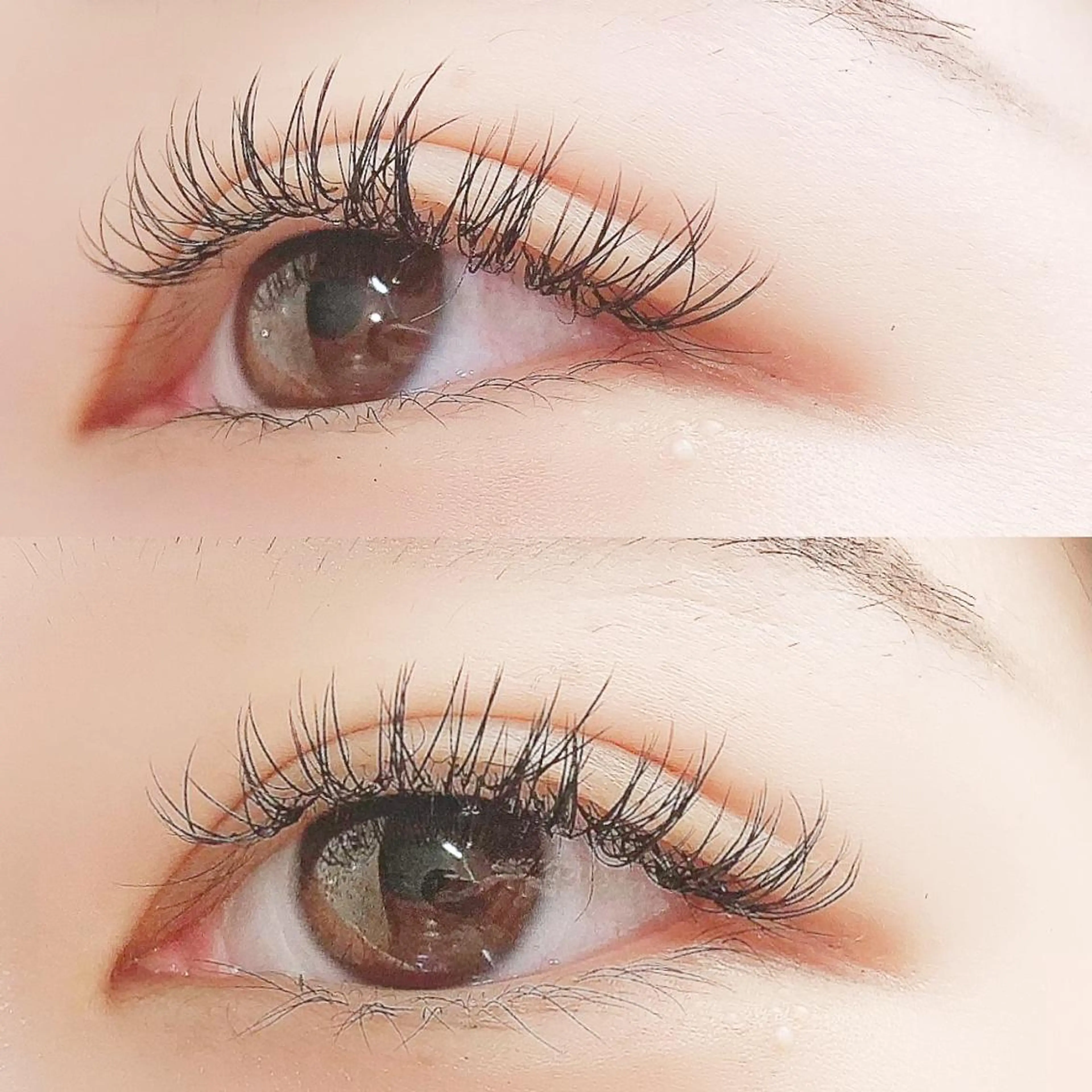 マツエク・マツパ Dカール フラットラッシュ セクシー Lanhr所属・【Lanhr】 🕊aya🕊のマツエク・マツパデザイン