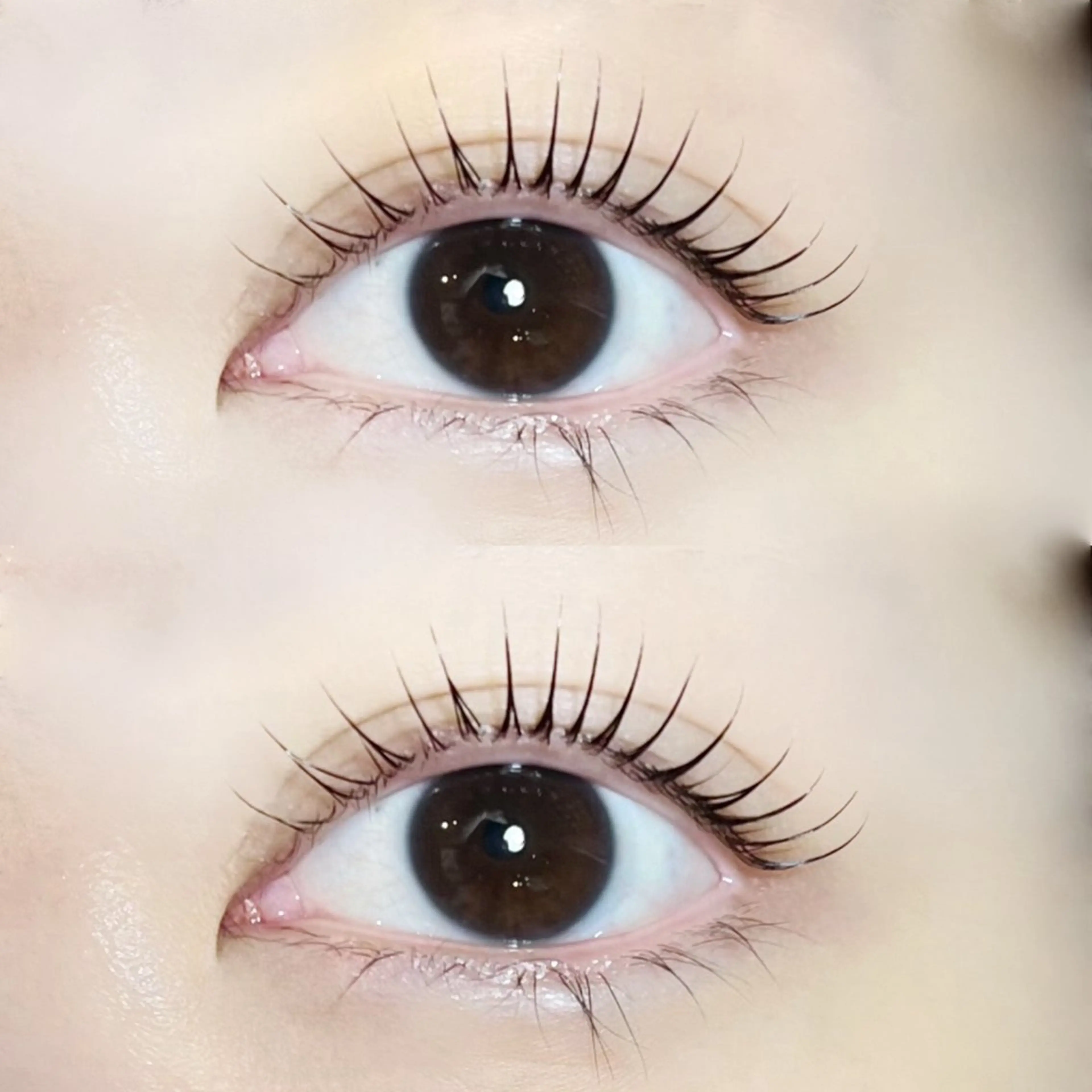 マツエク・マツパ マツパ Milavis所属・すあい みやびのマツエク・マツパデザイン