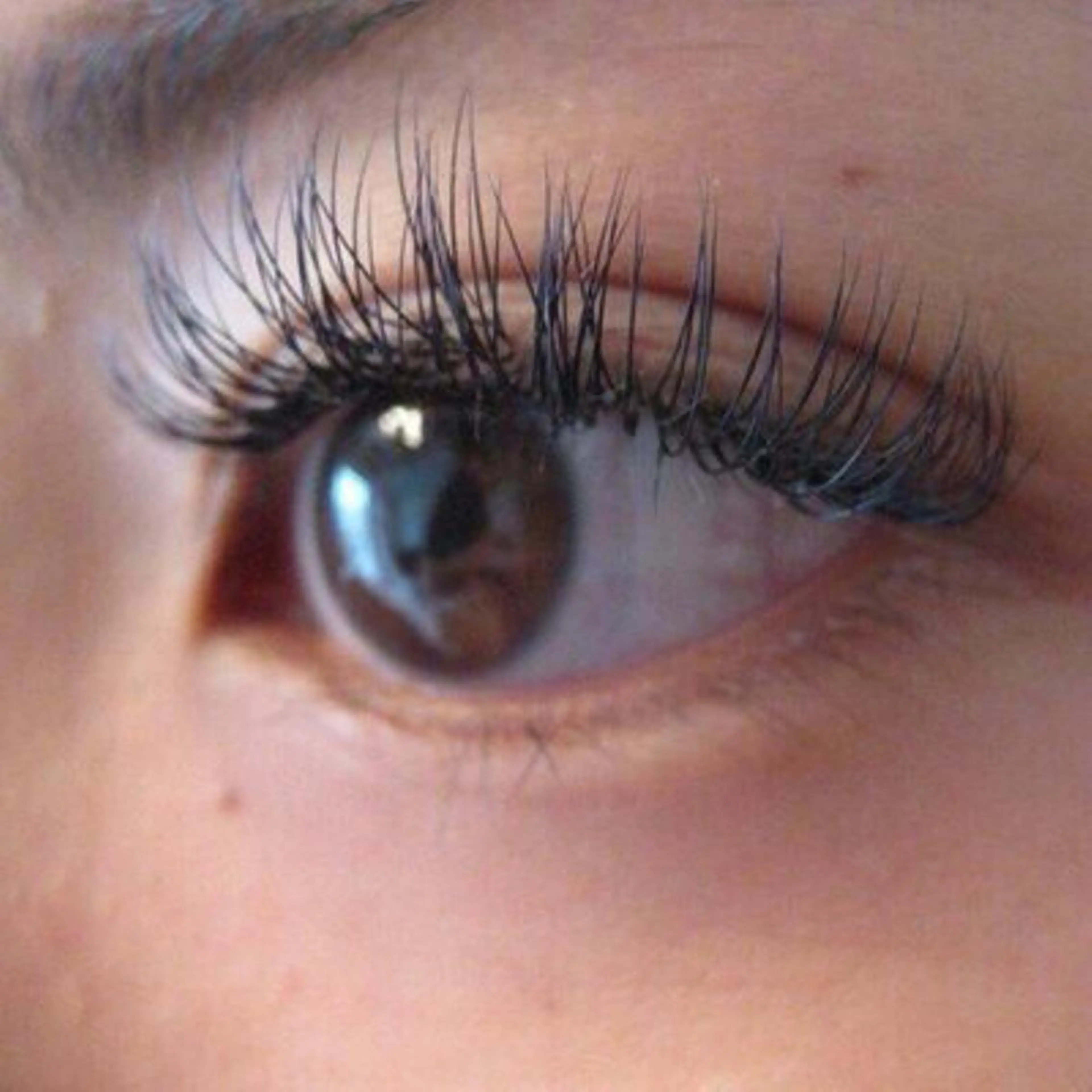 まつエク マツエク&まつ毛カールサロン　バタフライ・ラッシュ所属・下がりまつ毛たるみ 専門サロン妙蓮寺駅のマツエク・マツパデザイン