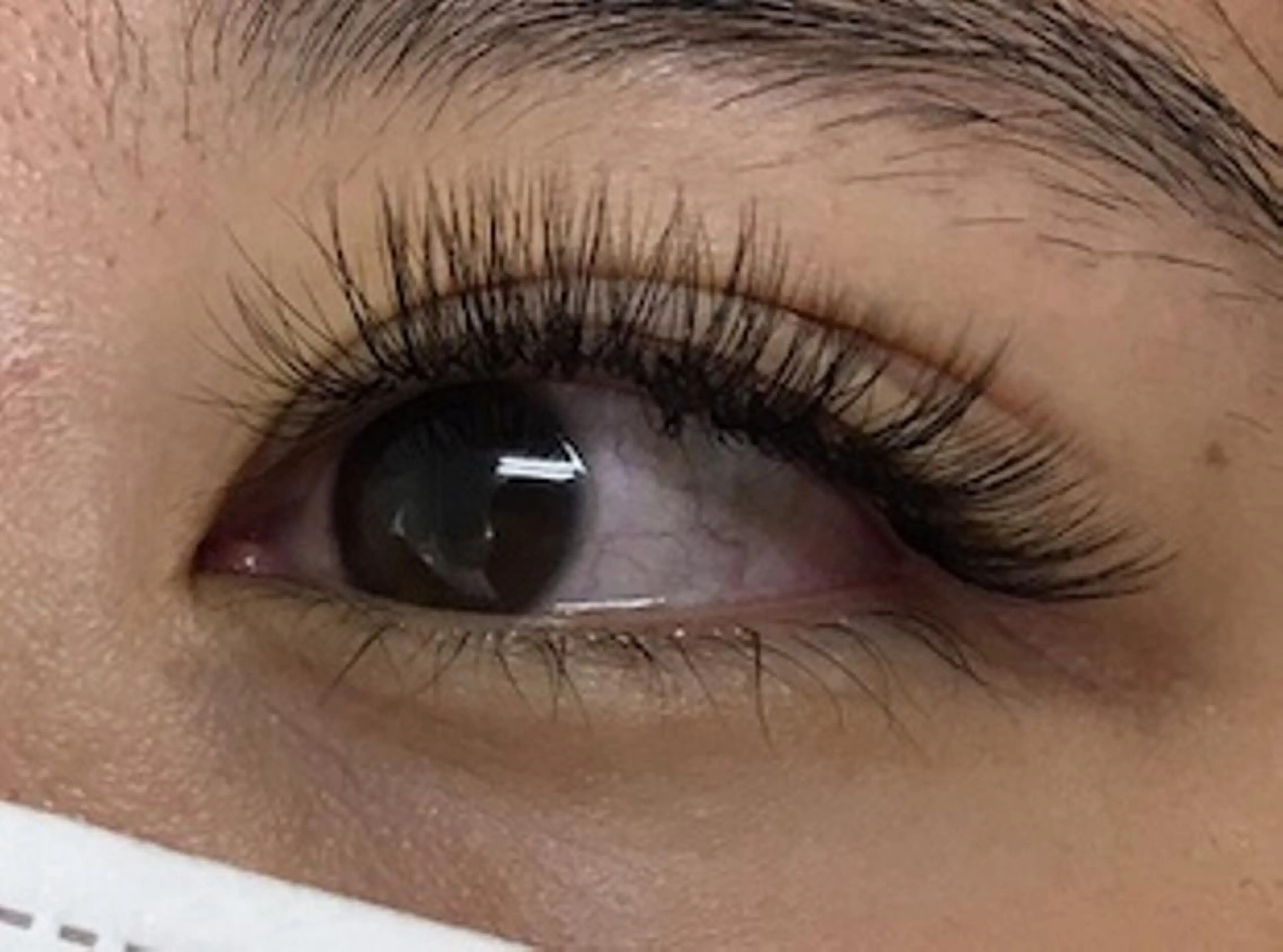 マツエク・マツパ 水 田のマツエク・マツパデザイン