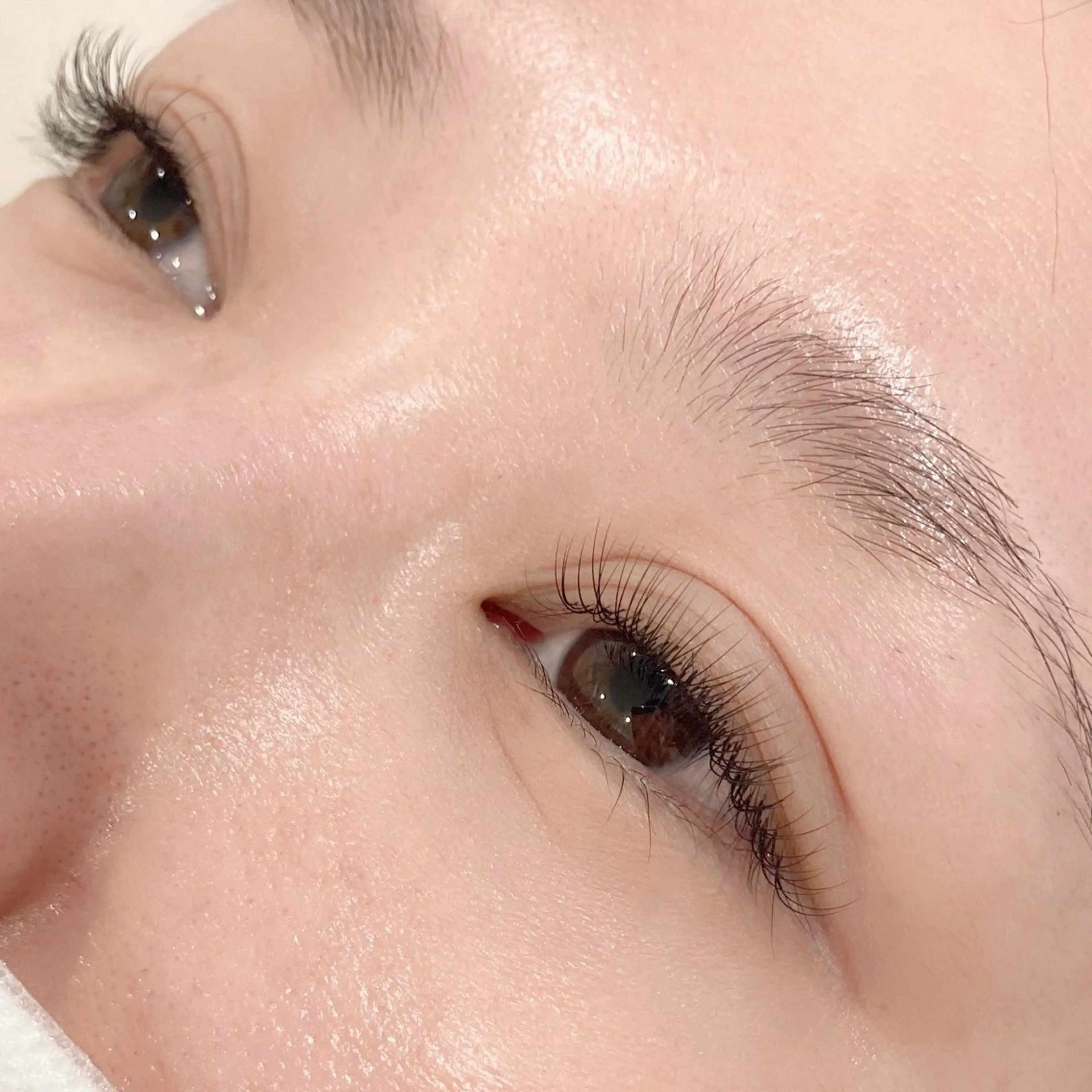 マツエク・マツパ ブラウンラッシュ カラーマツエク ナチュラル レイフィールド北名古屋所属・レイフィールド 服部のマツエク・マツパデザイン