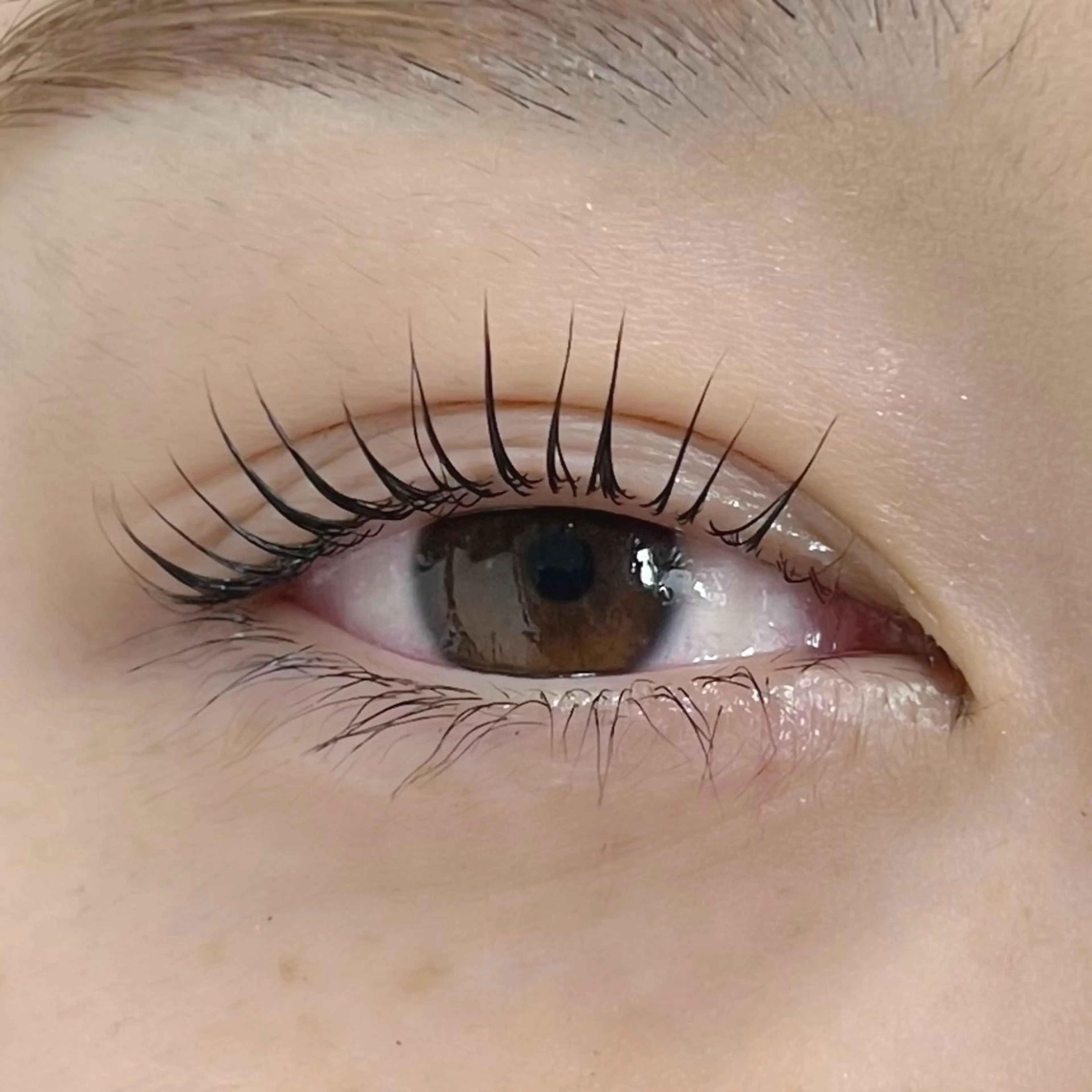 マツエク・マツパ Moe/韓国風/ 束感/キュート❤︎のマツエク・マツパデザイン