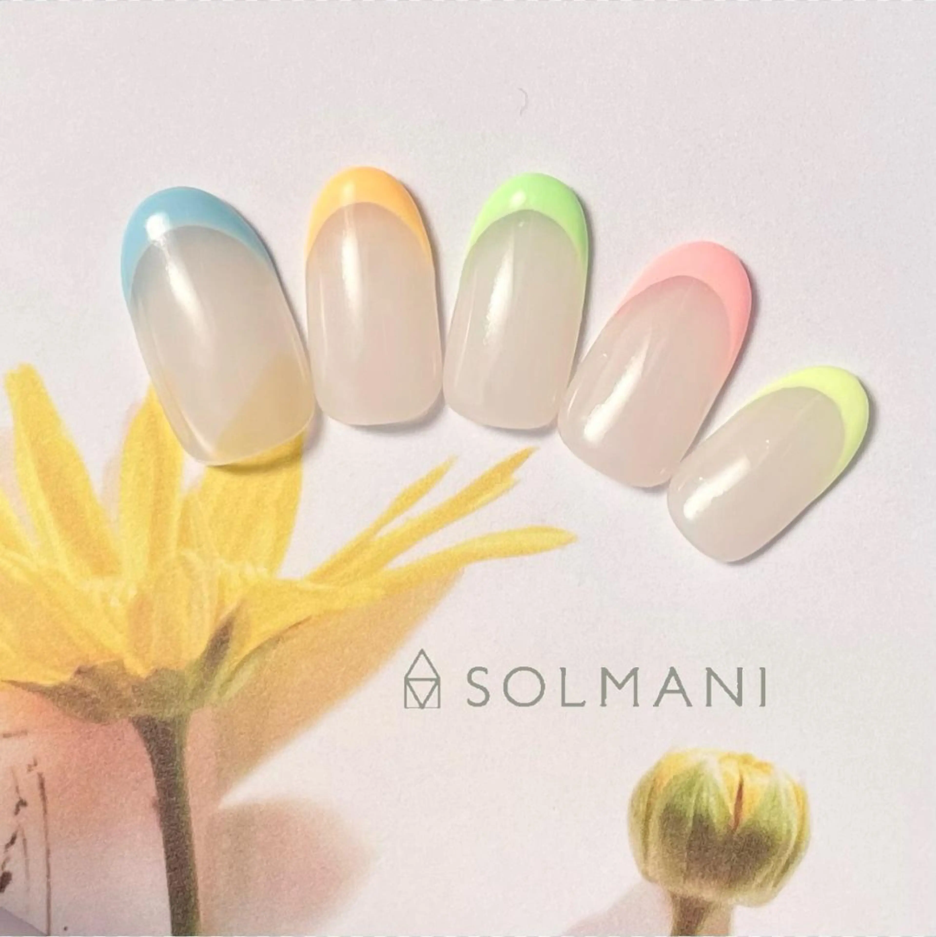 ネイル フレンチネイル SOLMANI 予約担当のネイルデザイン