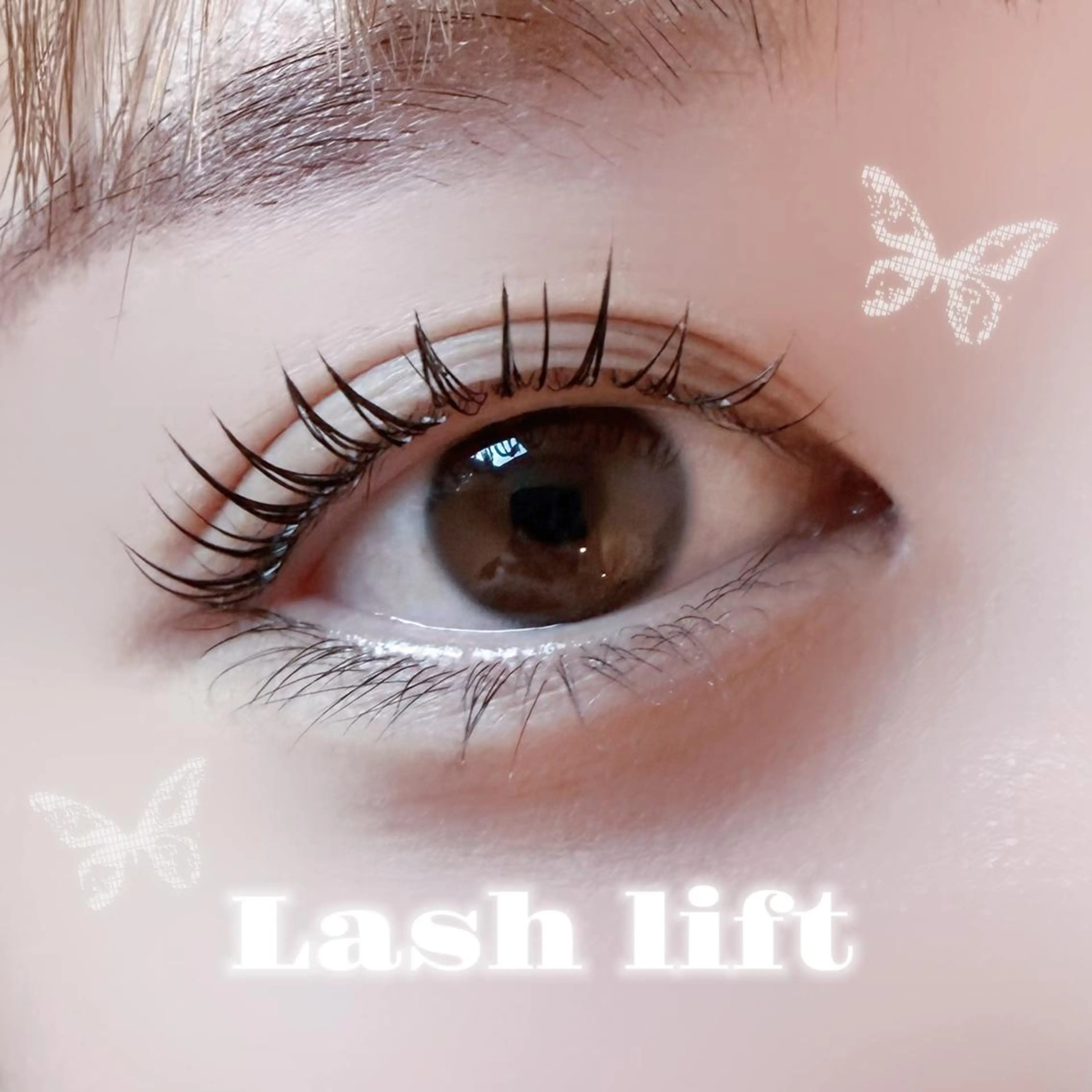 【当日限定❕】まつ毛パーマ🍀の写真