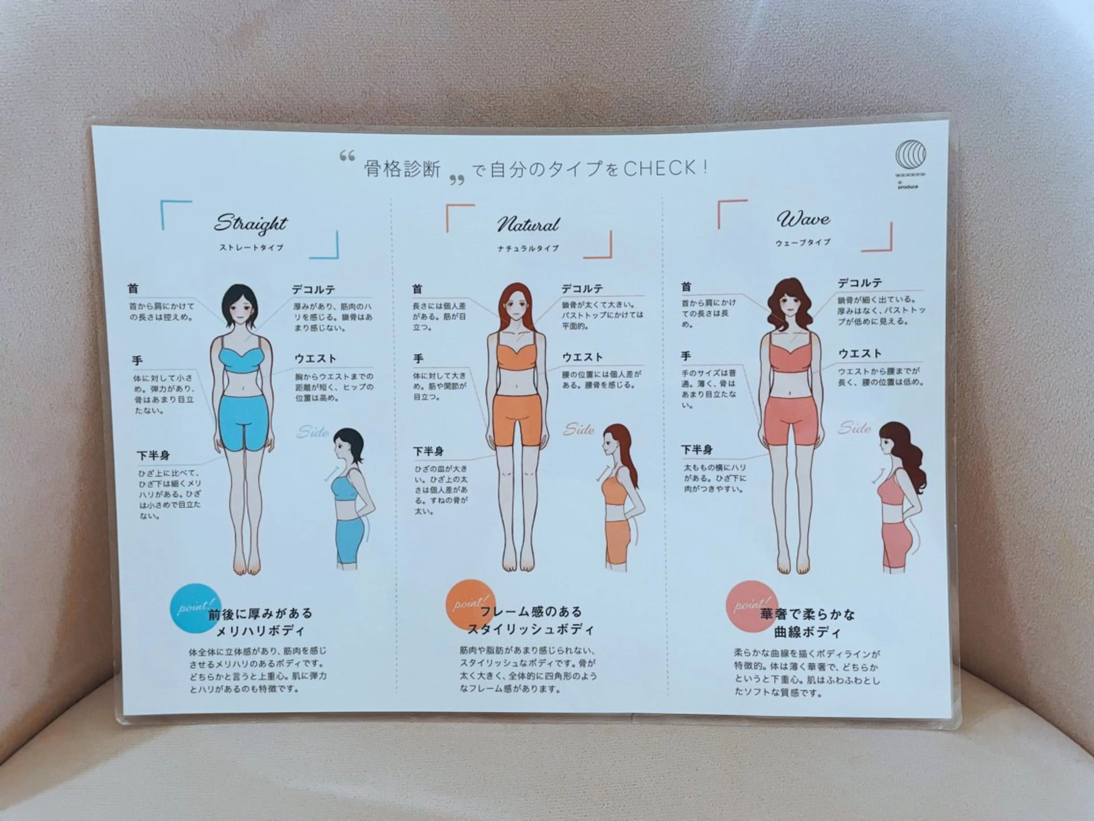 ₊˚ʚ🐰ɞ˚骨格診断の写真