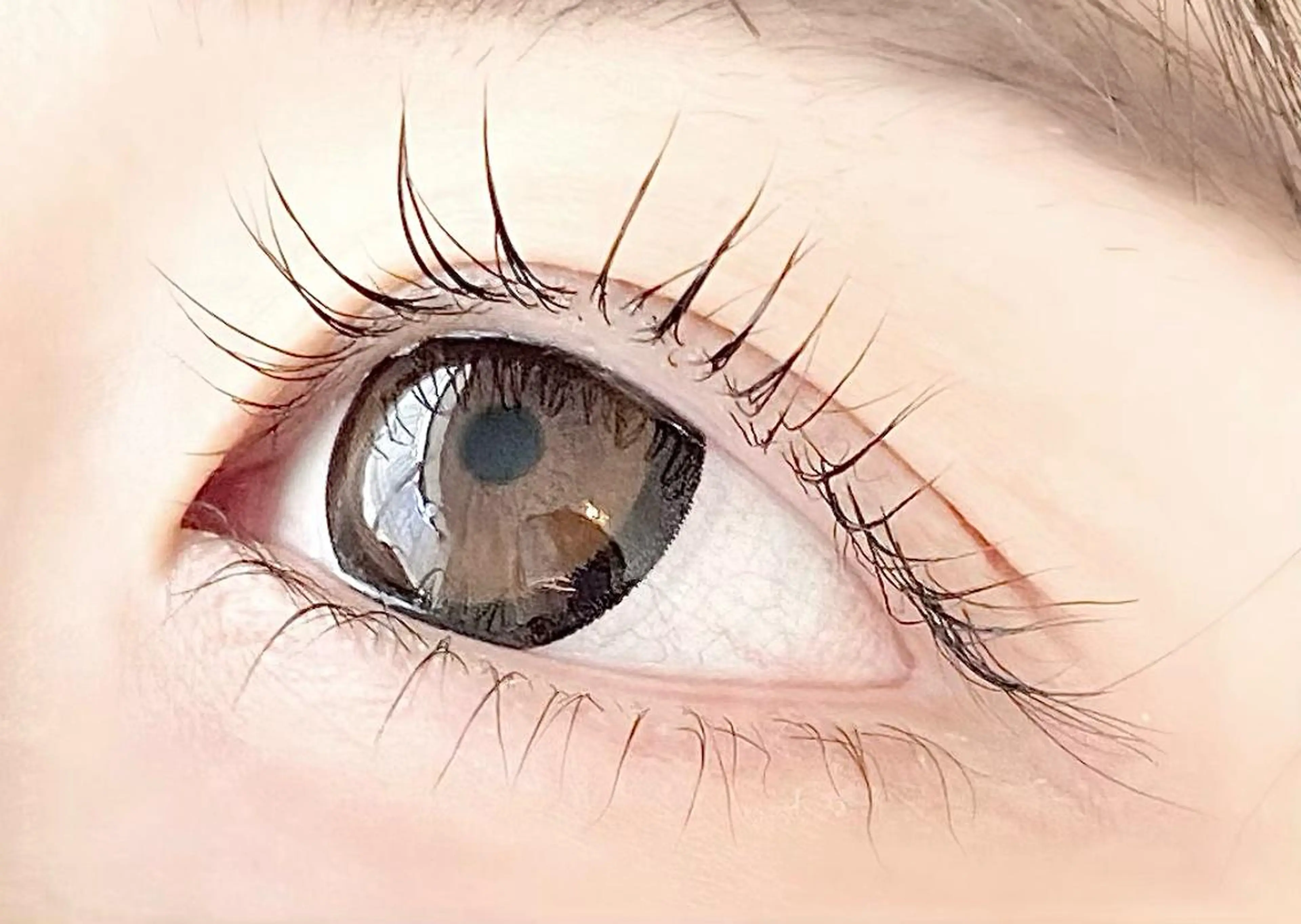 マツエク・マツパ アイブロウ マツパ クルミナージュ柏🌼 代表.鈴木のマツエク・マツパデザイン