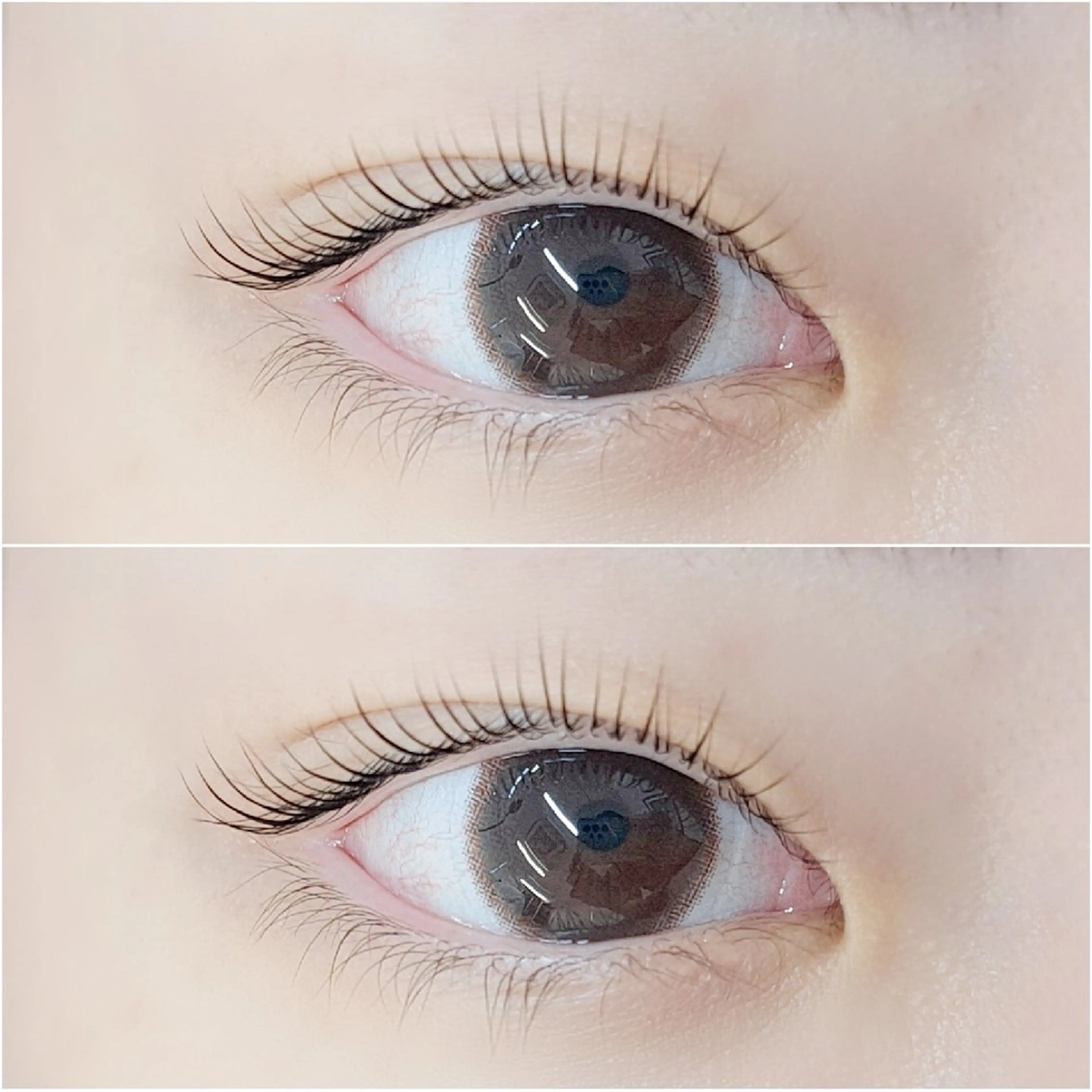 マツエク・マツパ cocolash　町屋店所属・cocolash 🧸のマツエク・マツパデザイン