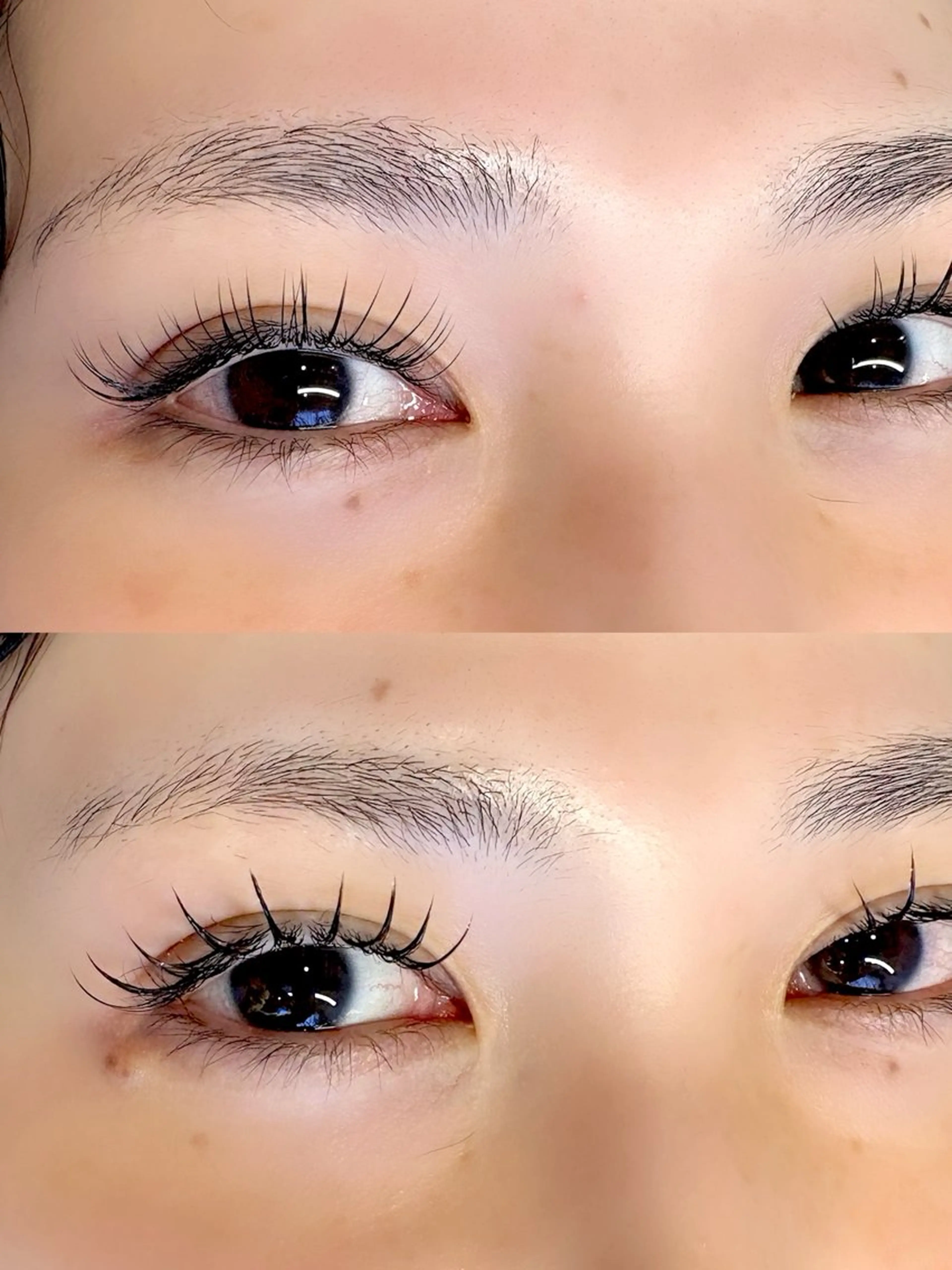 フラットラッシュ80本の写真