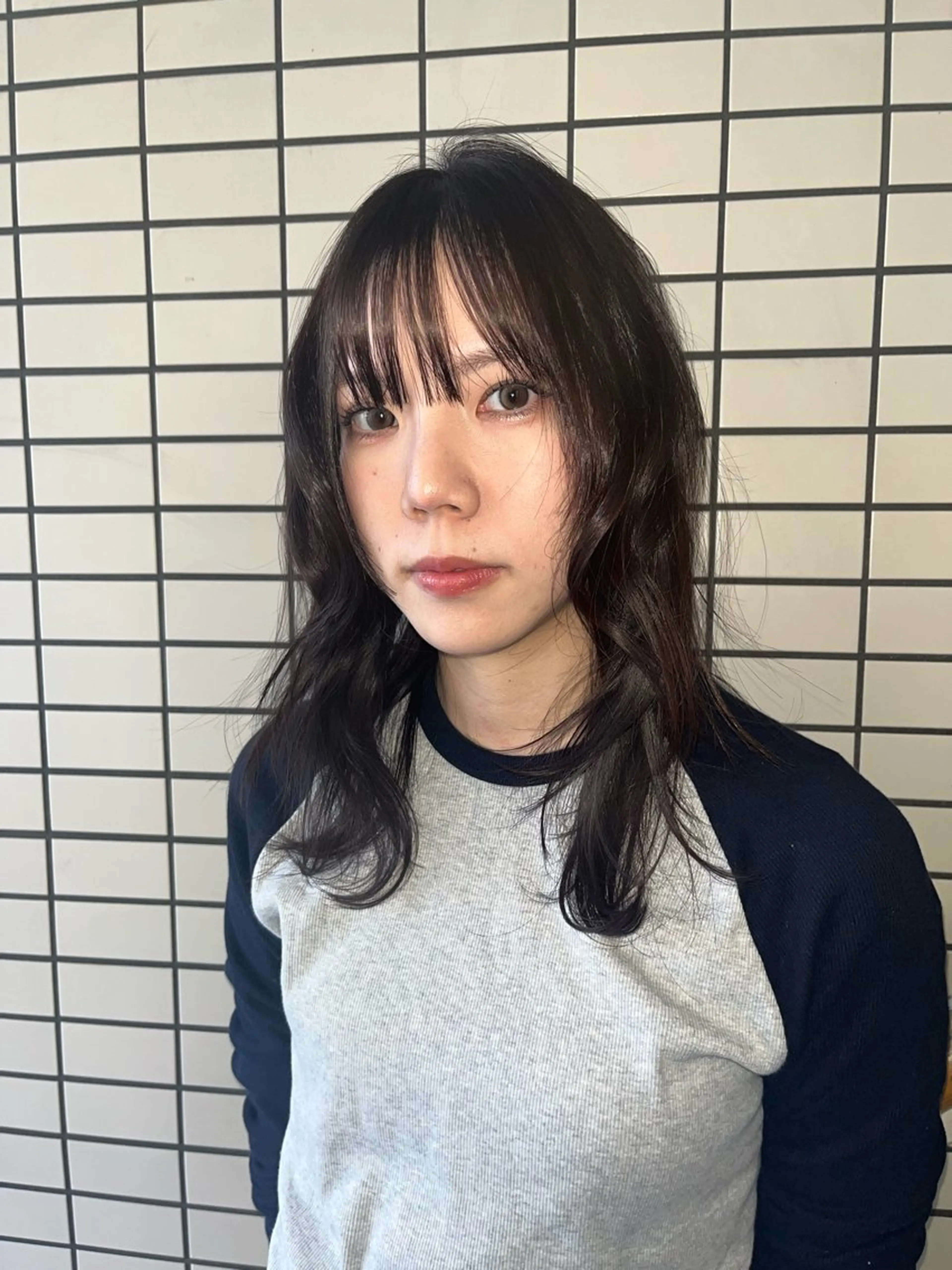 ワンカラーの写真