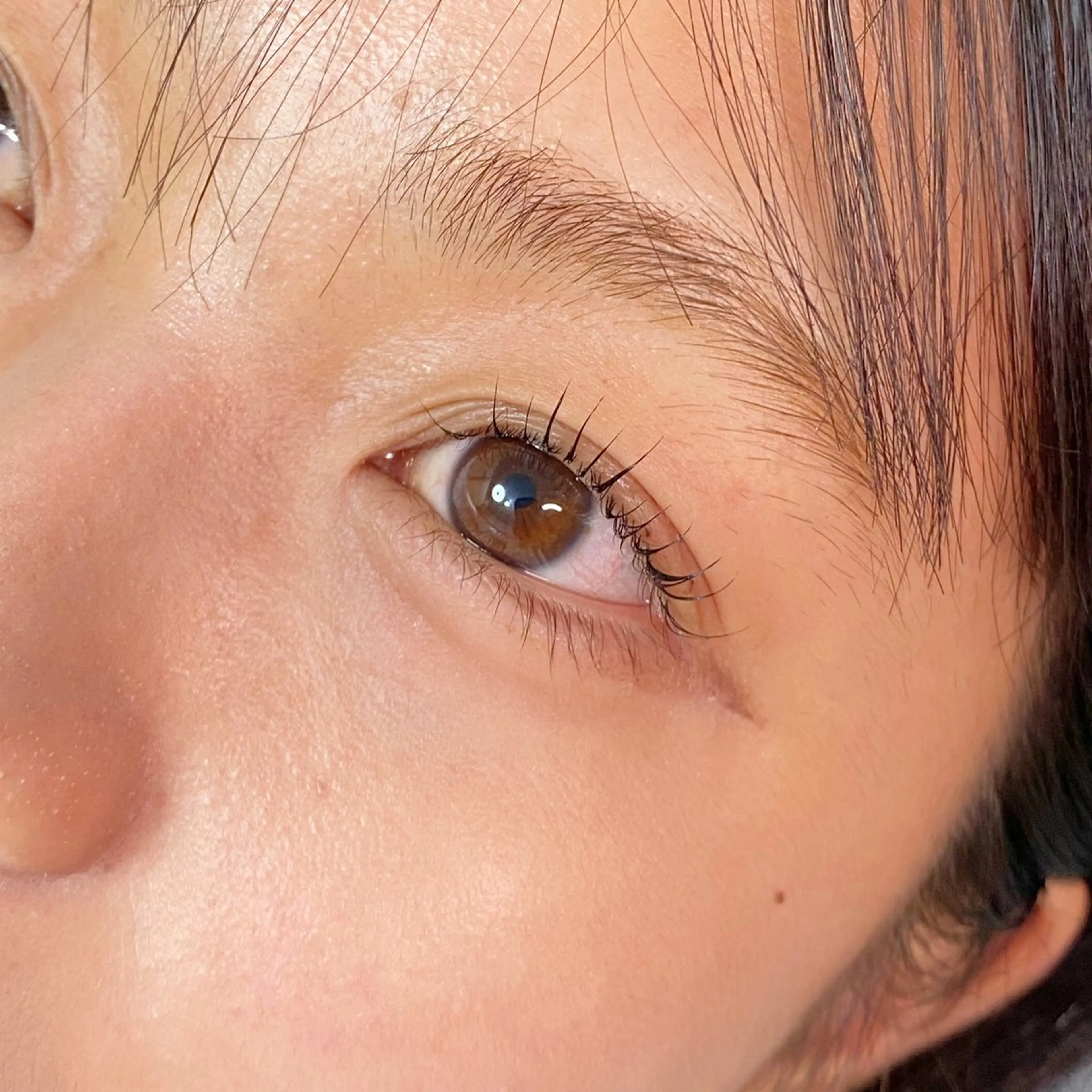 マツエク・マツパ マツパ 自まつ毛改善サロンAnn Moss 日本橋所属・SHIMIZU/ マツエク・マツパのマツエク・マツパデザイン