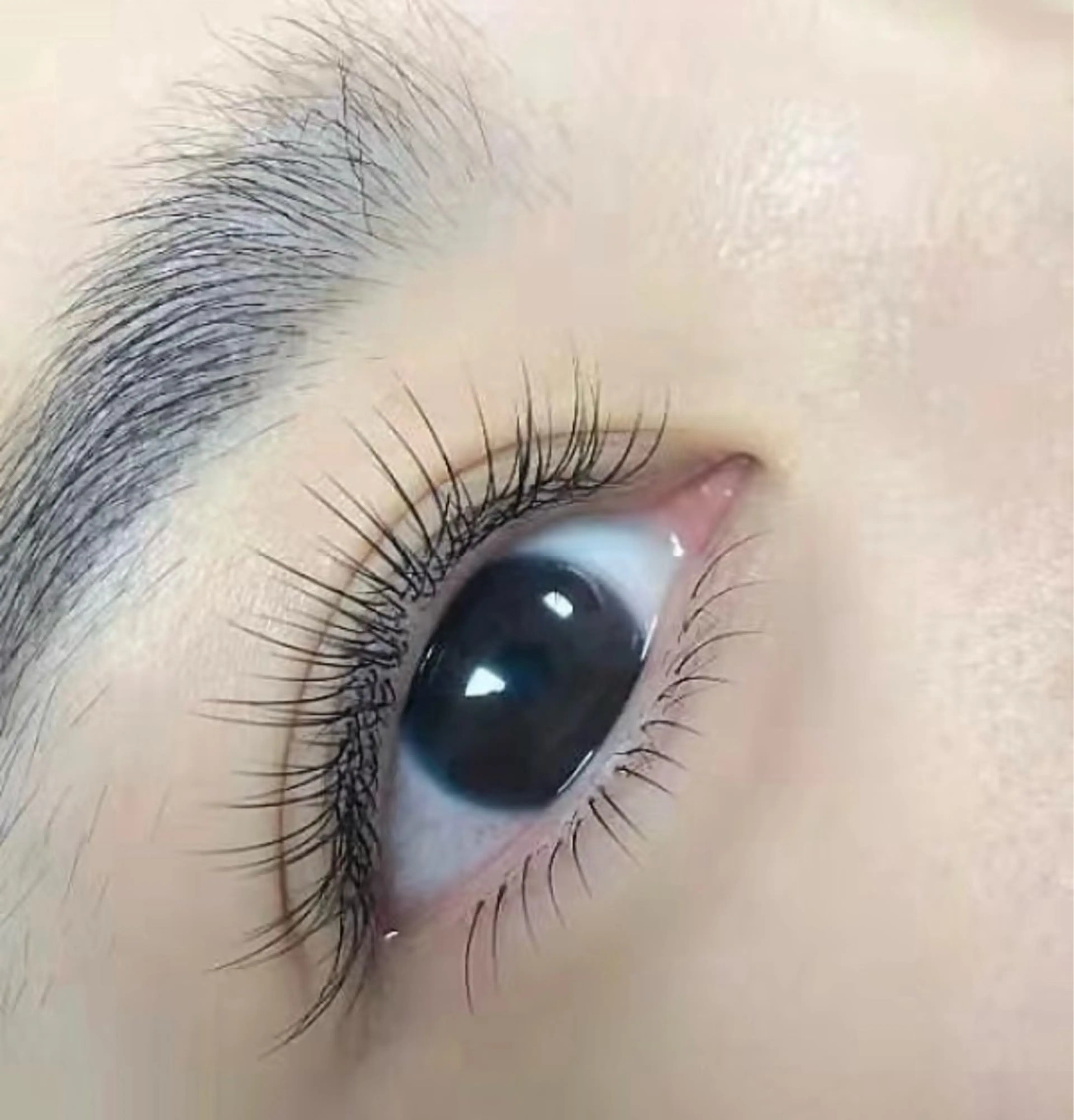 マツエク・マツパ salon de Reiのマツエク・マツパデザイン