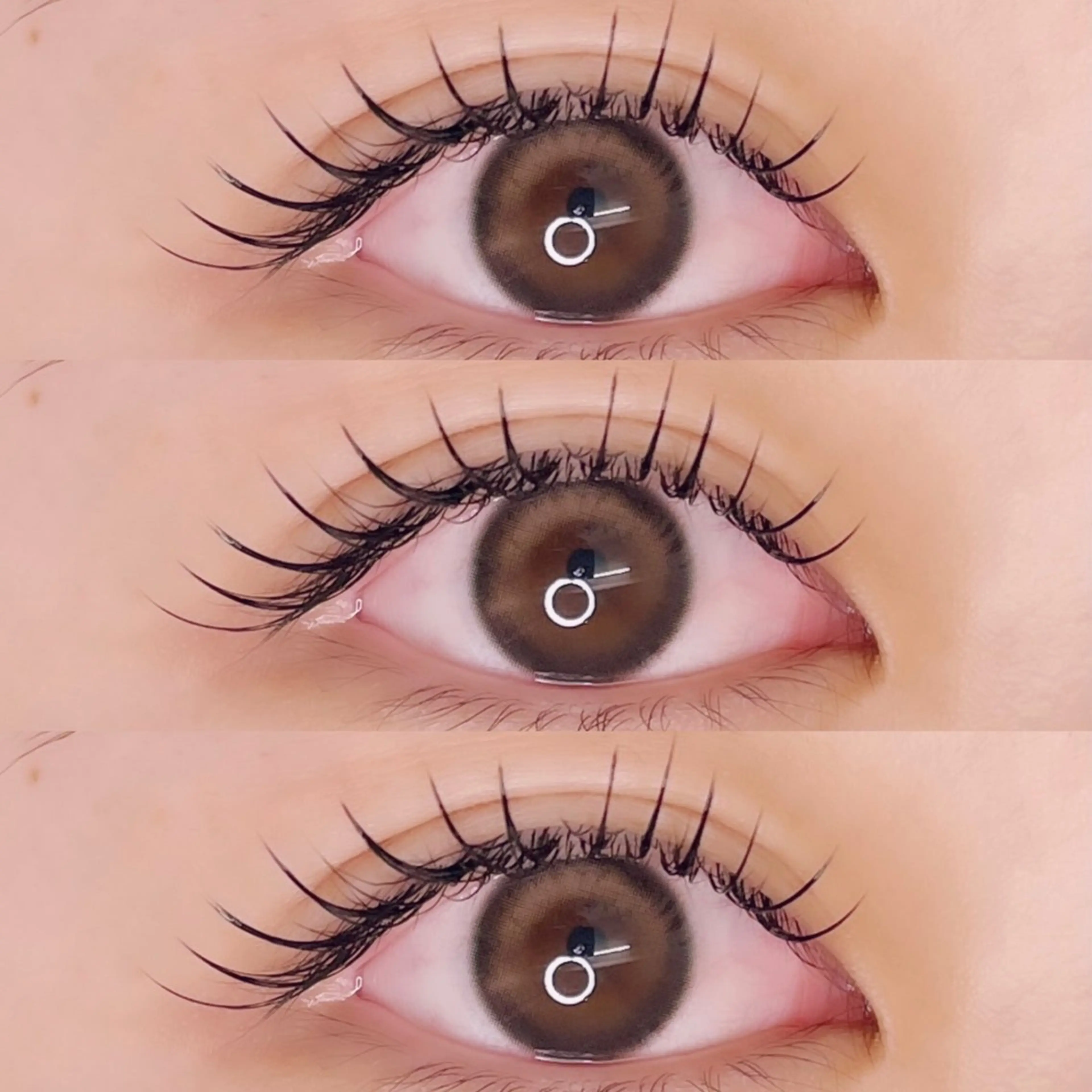 フラットラッシュ100本の写真