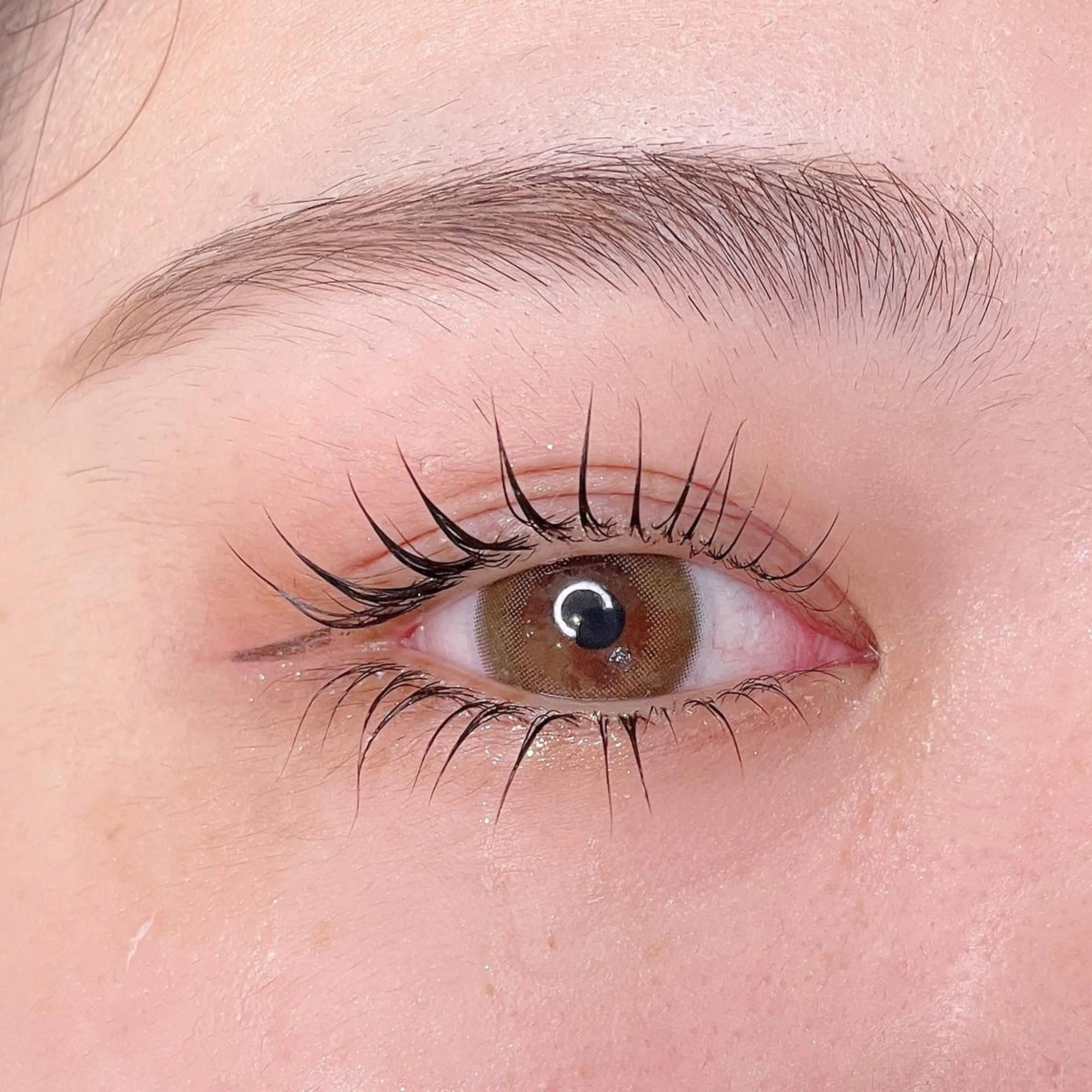 マツエク・マツパ Majoli所属・【代表/ｱｲﾘｽﾄ】 Misaの眉毛・アイブロウイメージ