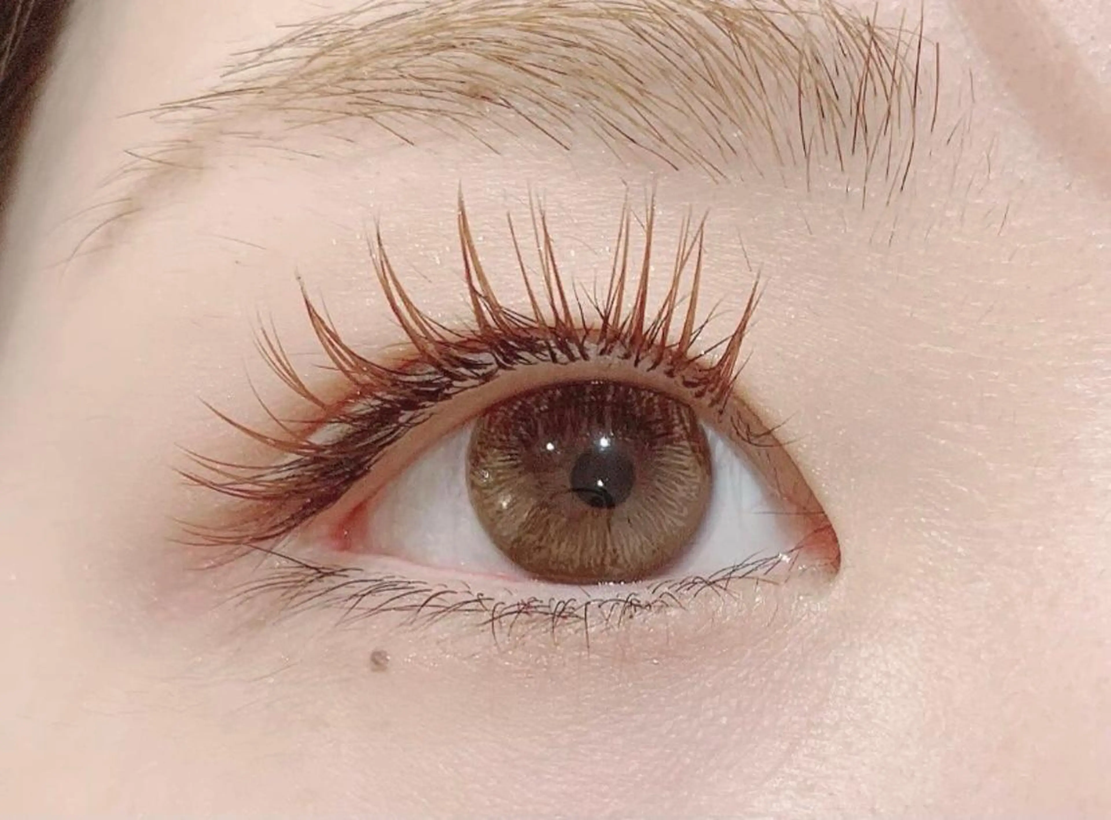 【🍂ブラウンエクステ(120本)🍂】コーティング仕上げ付💫2回目以降+500円の写真