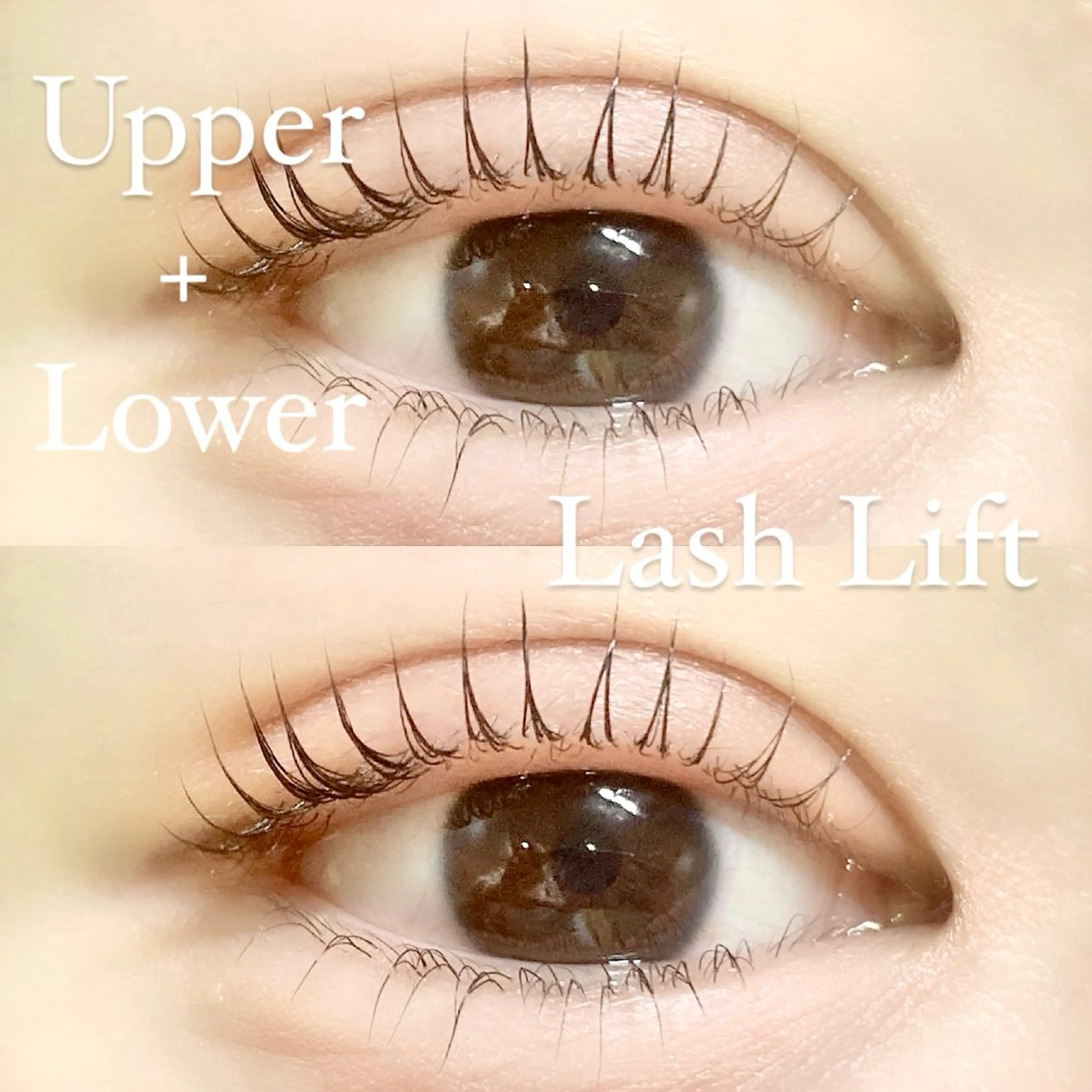 マツエク・マツパ マツエク Eyelash 🎀 𝐀𝐲𝐮𝐦𝐢のマツエク・マツパデザイン