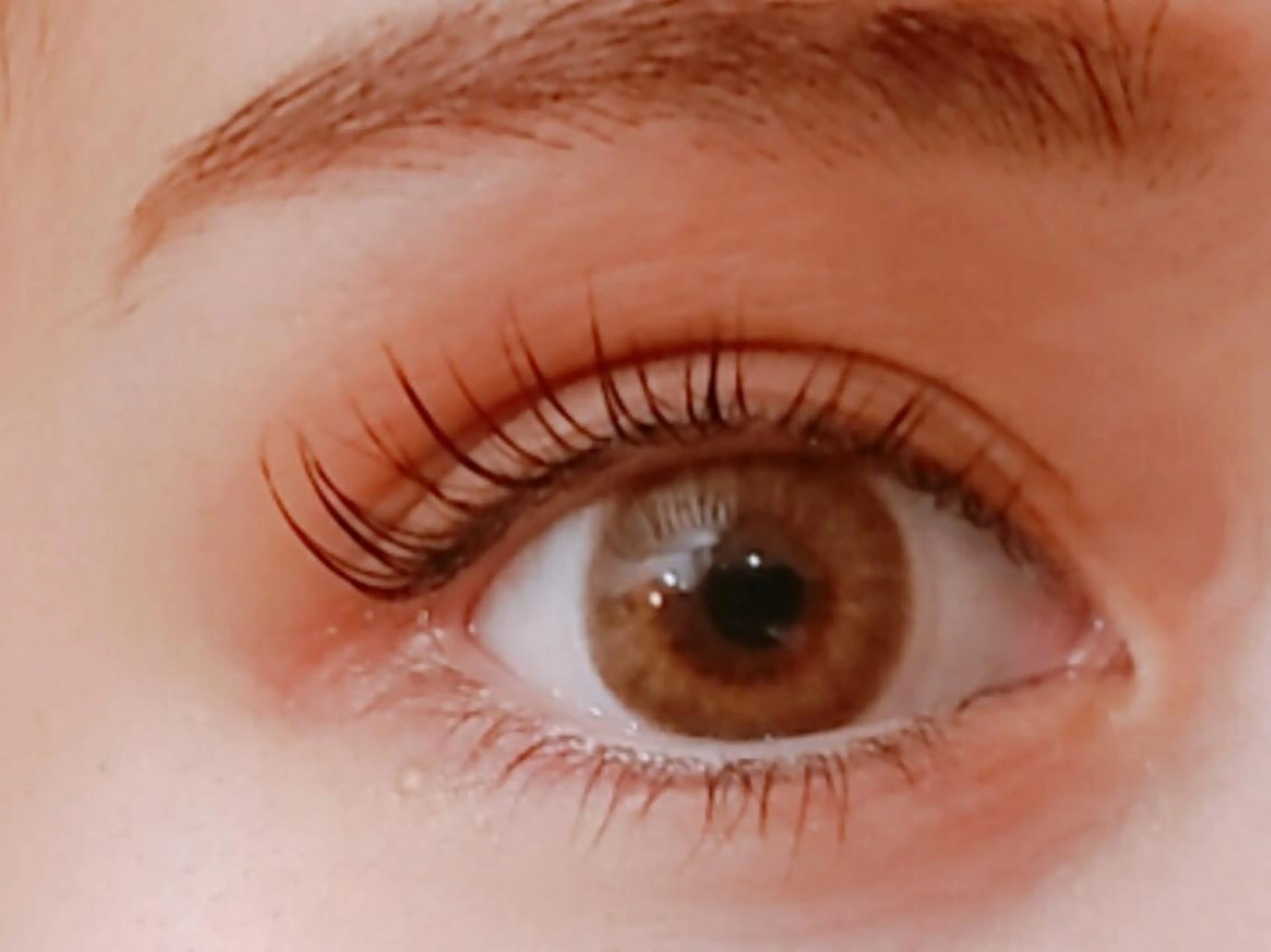 【ミニモ限定】上下まつげパーマの写真