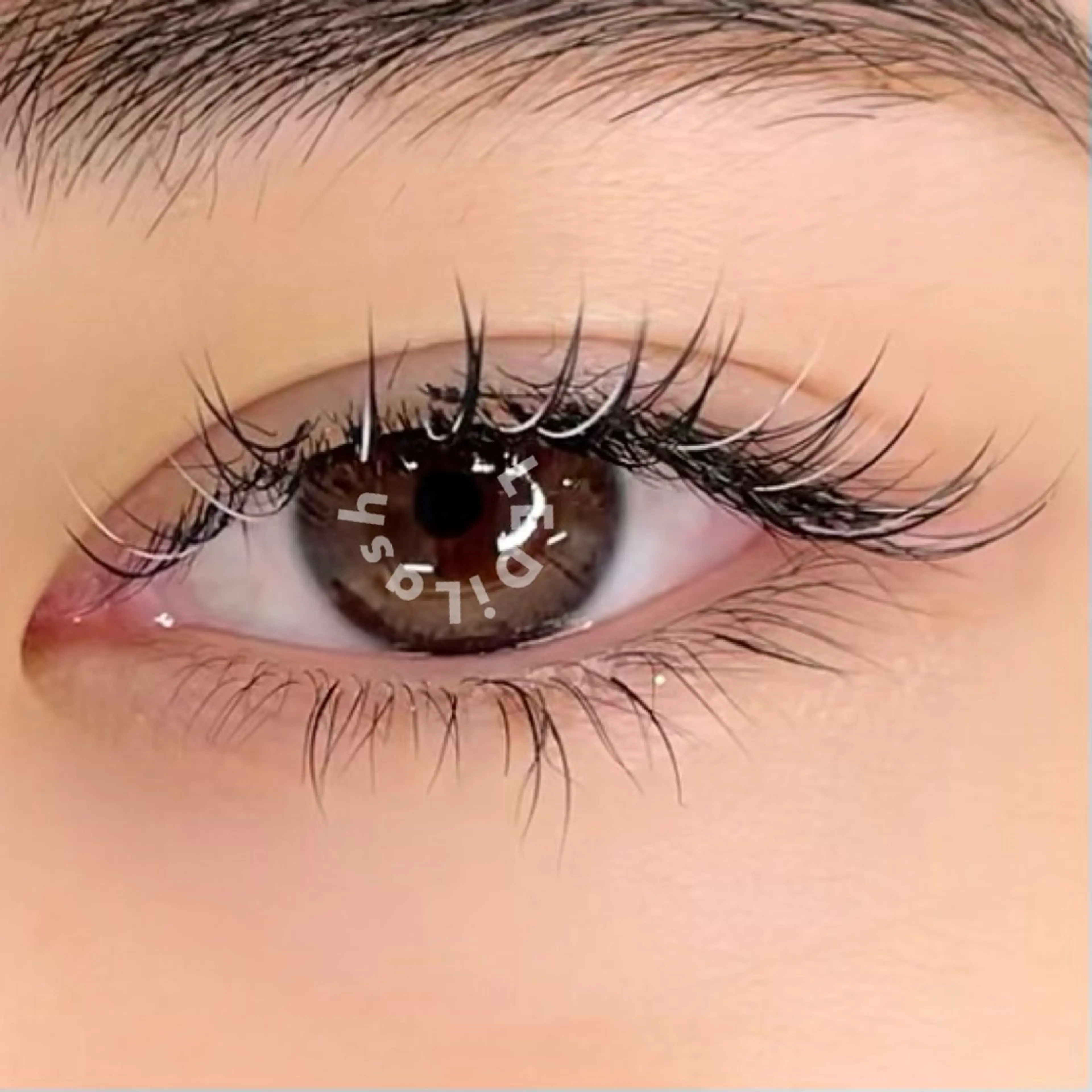 マツエク・マツパ セクシー ciglia 原宿店yunaのマツエク・マツパデザイン