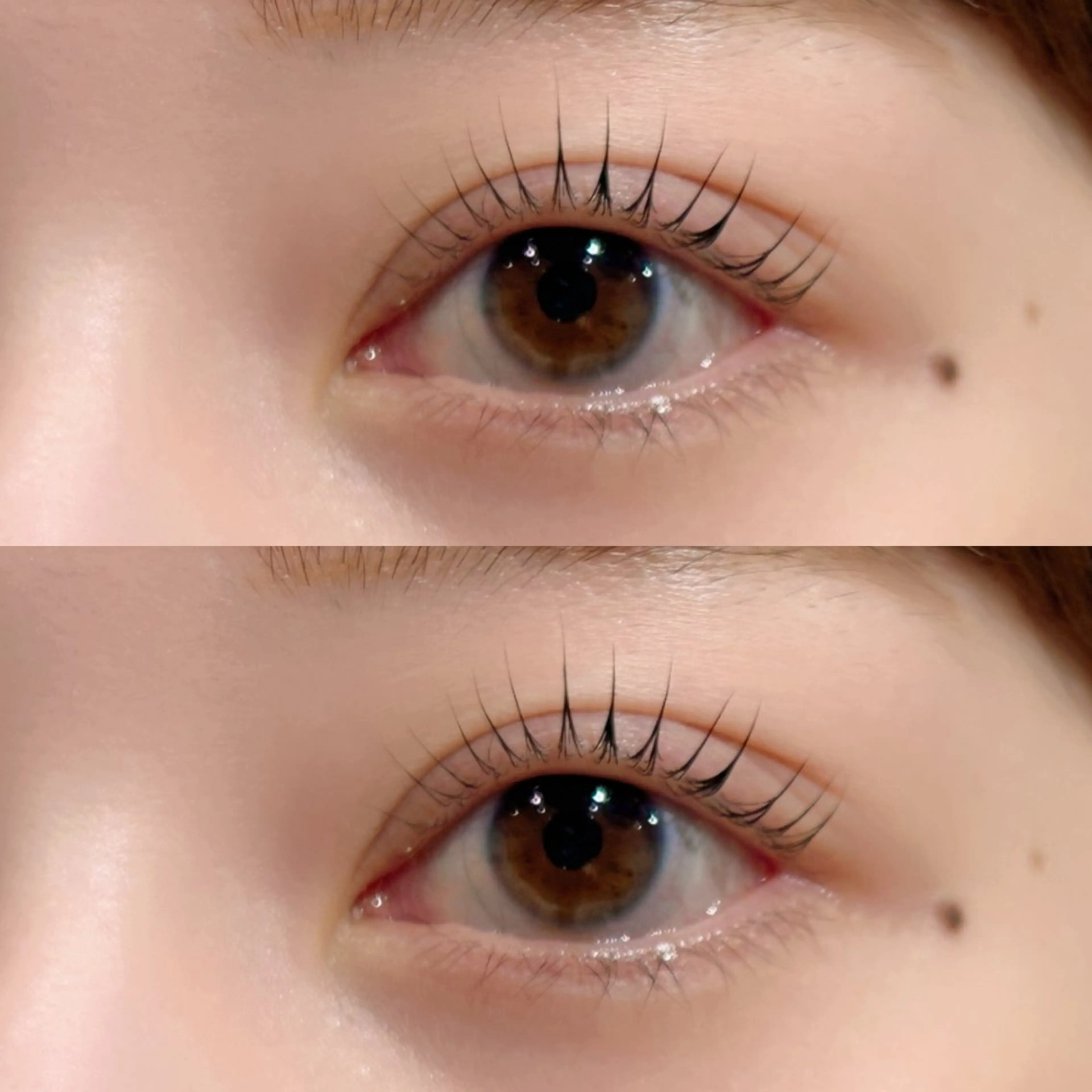 【ミニモ限定】🪄まつげパーマorパリジェンヌTrコーティング付 上のみ✨￥7,700→4,000の写真