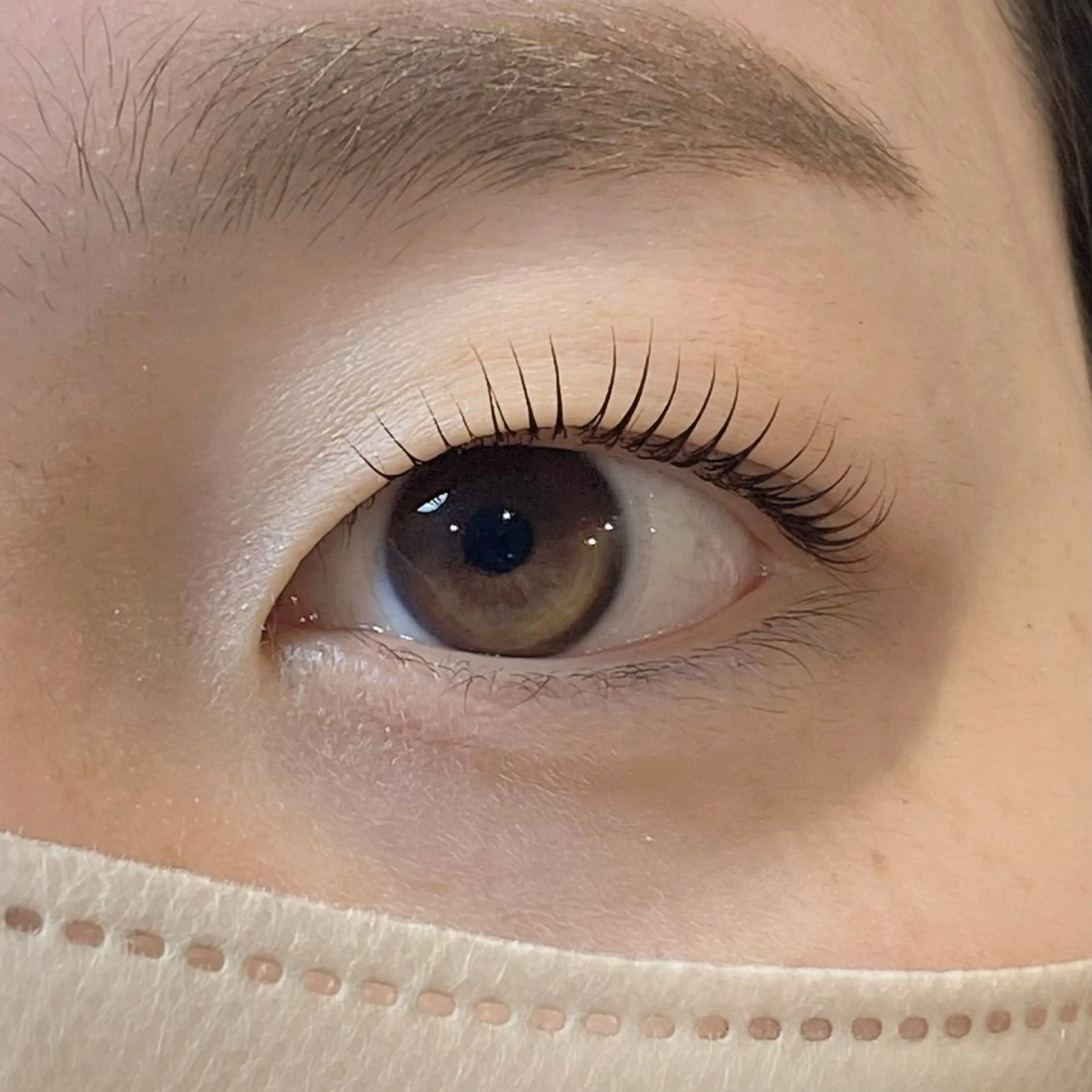 🪩次世代まつげパーマ 上のみ🪩の写真