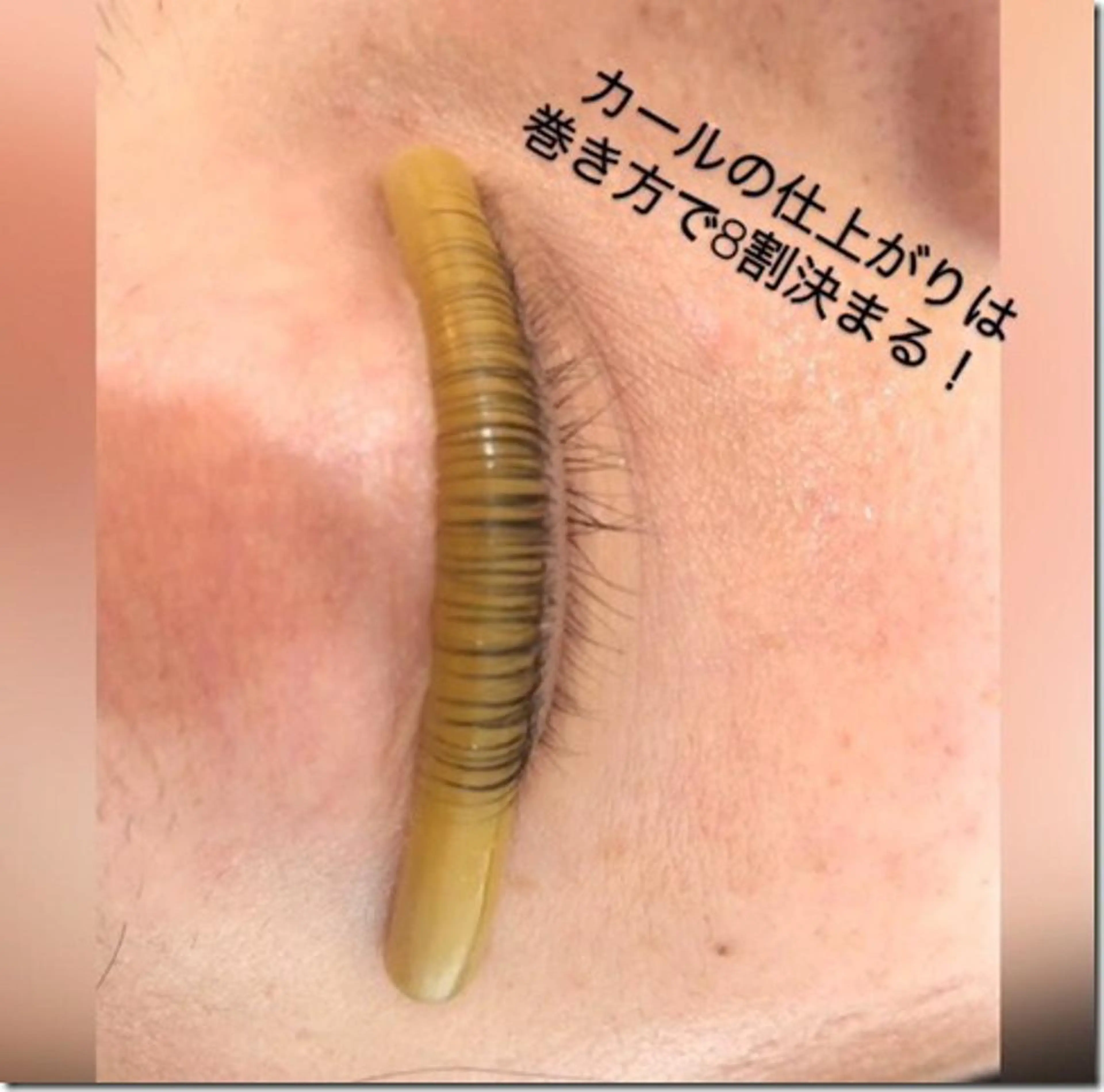 マツエク・マツパ サクラブロウ 池袋　店の眉毛・アイブロウイメージ