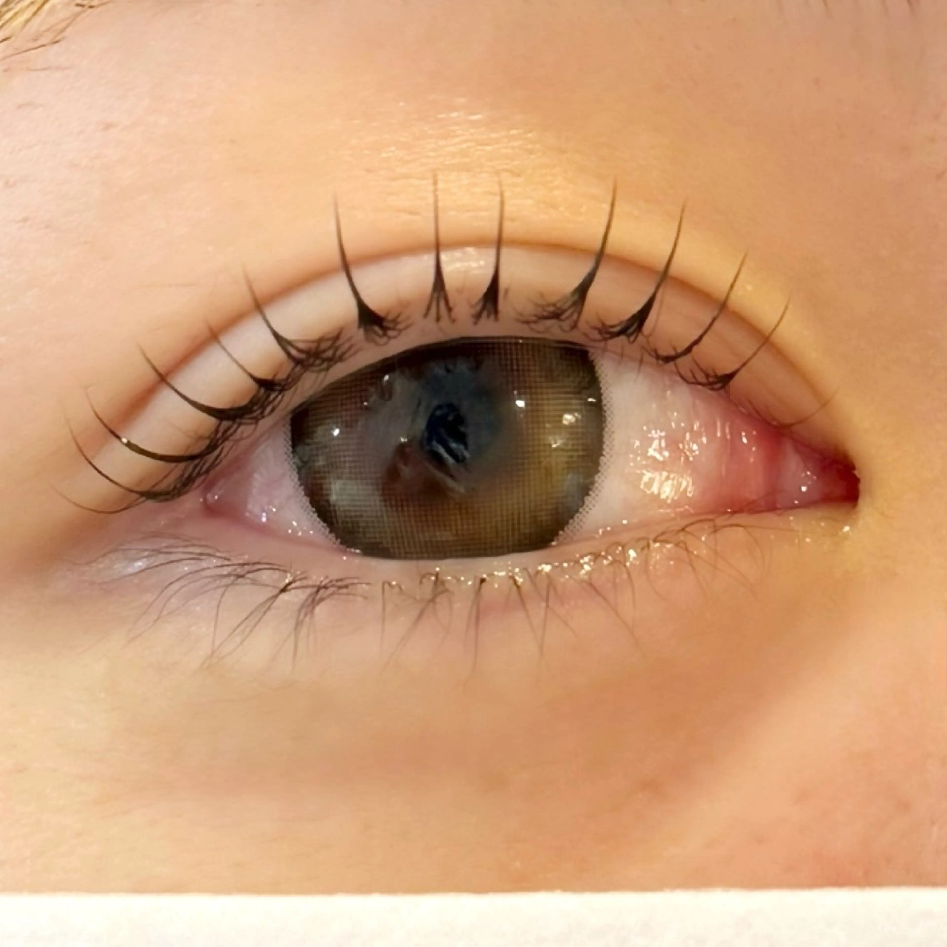 1/14.16限定🫧パリジェンヌorケラチンラッシュリフト🤎¥3980の写真