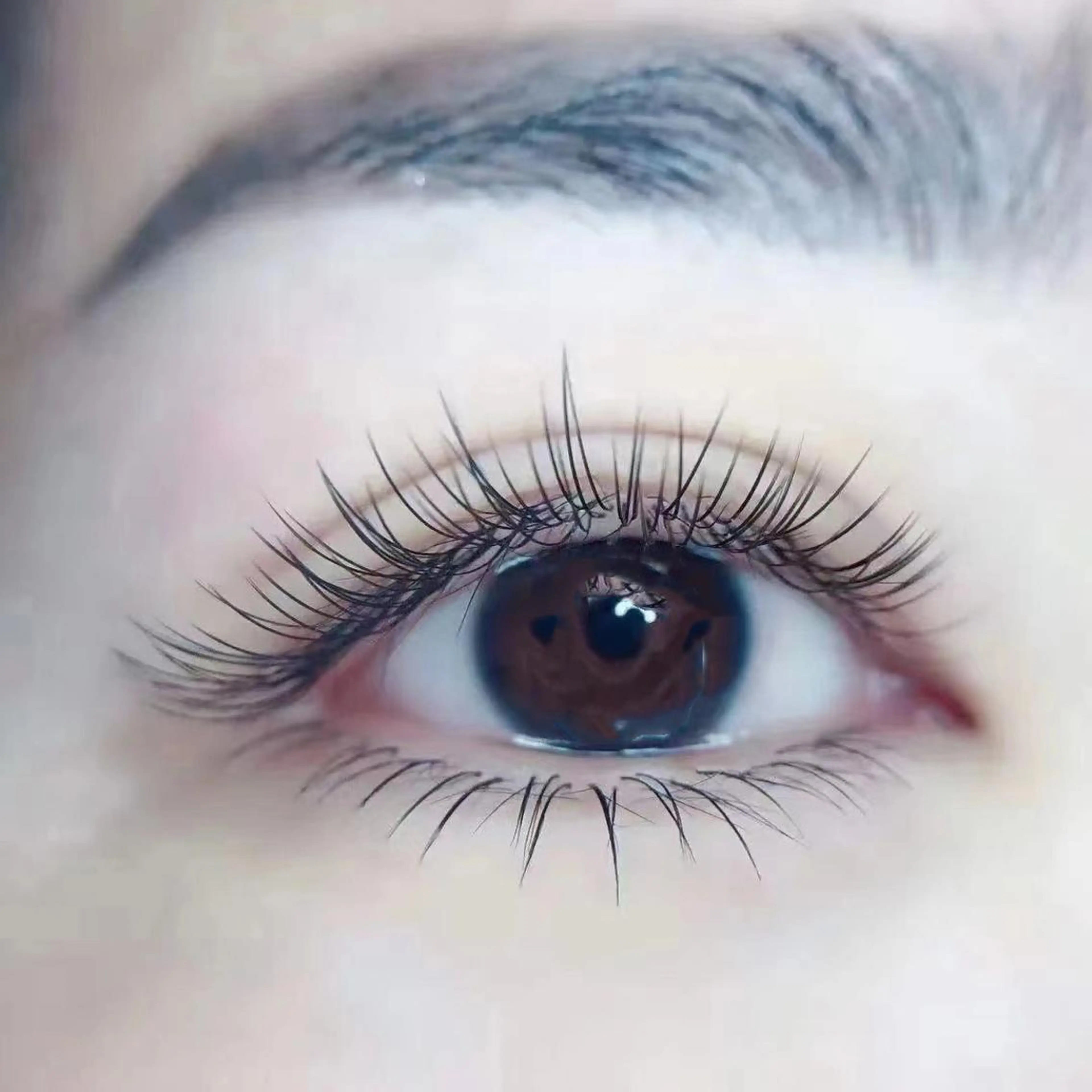 フラットラッシュ100本、オフ込み¥4980の写真