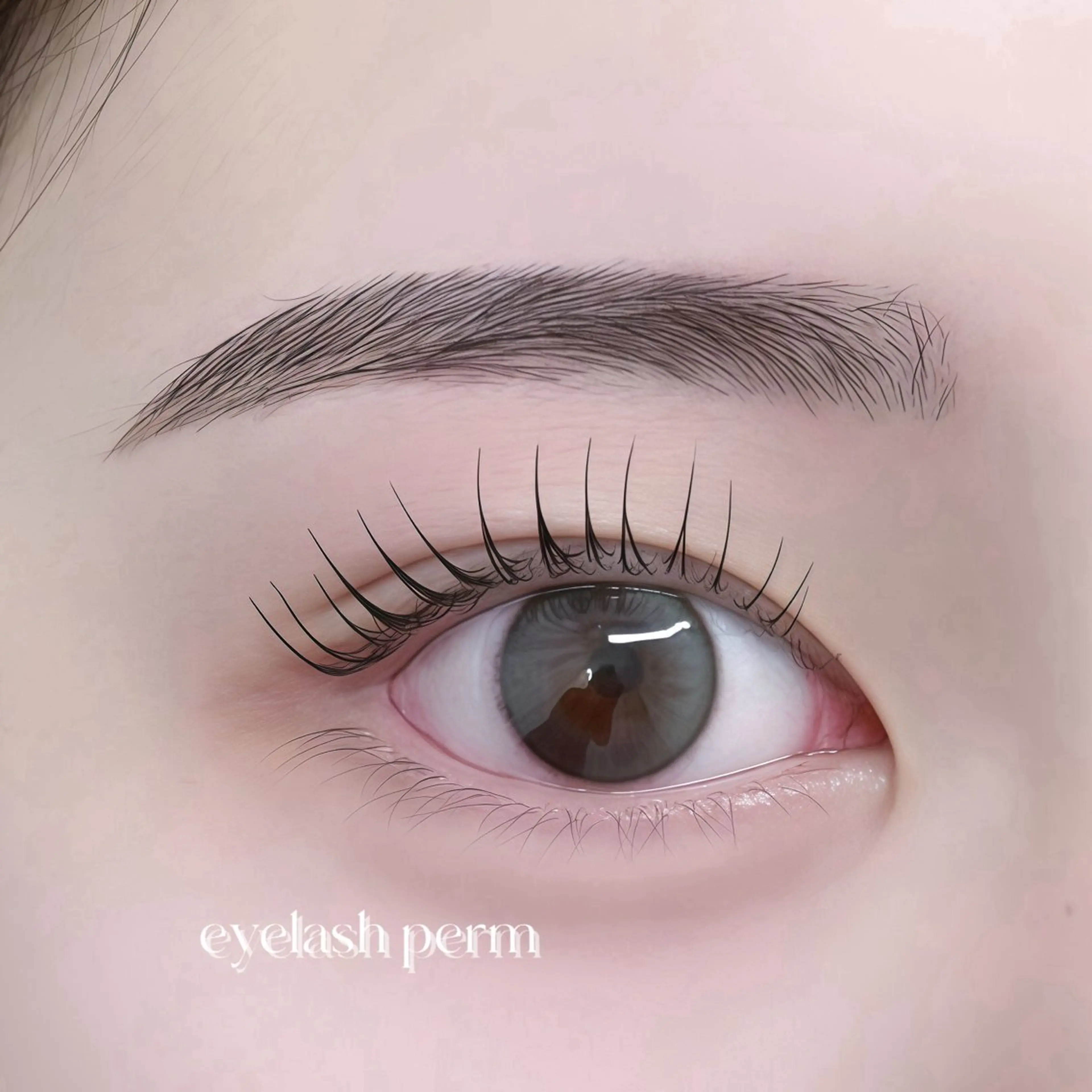 マツエク・マツパ eyelash 🐰 パーマ眉のマツエク・マツパデザイン