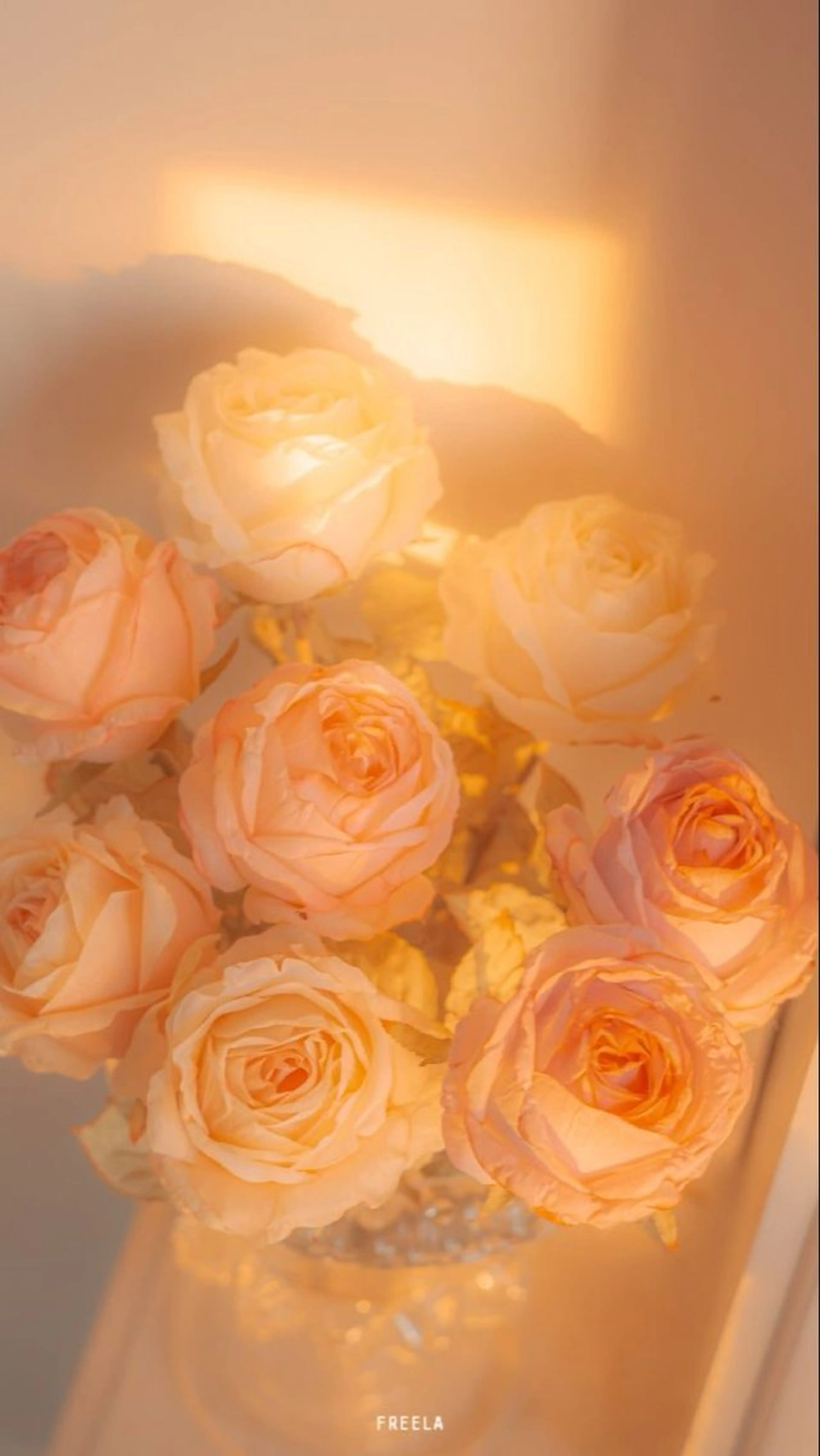 Bianca 銀座 Hinanoのネイルデザイン