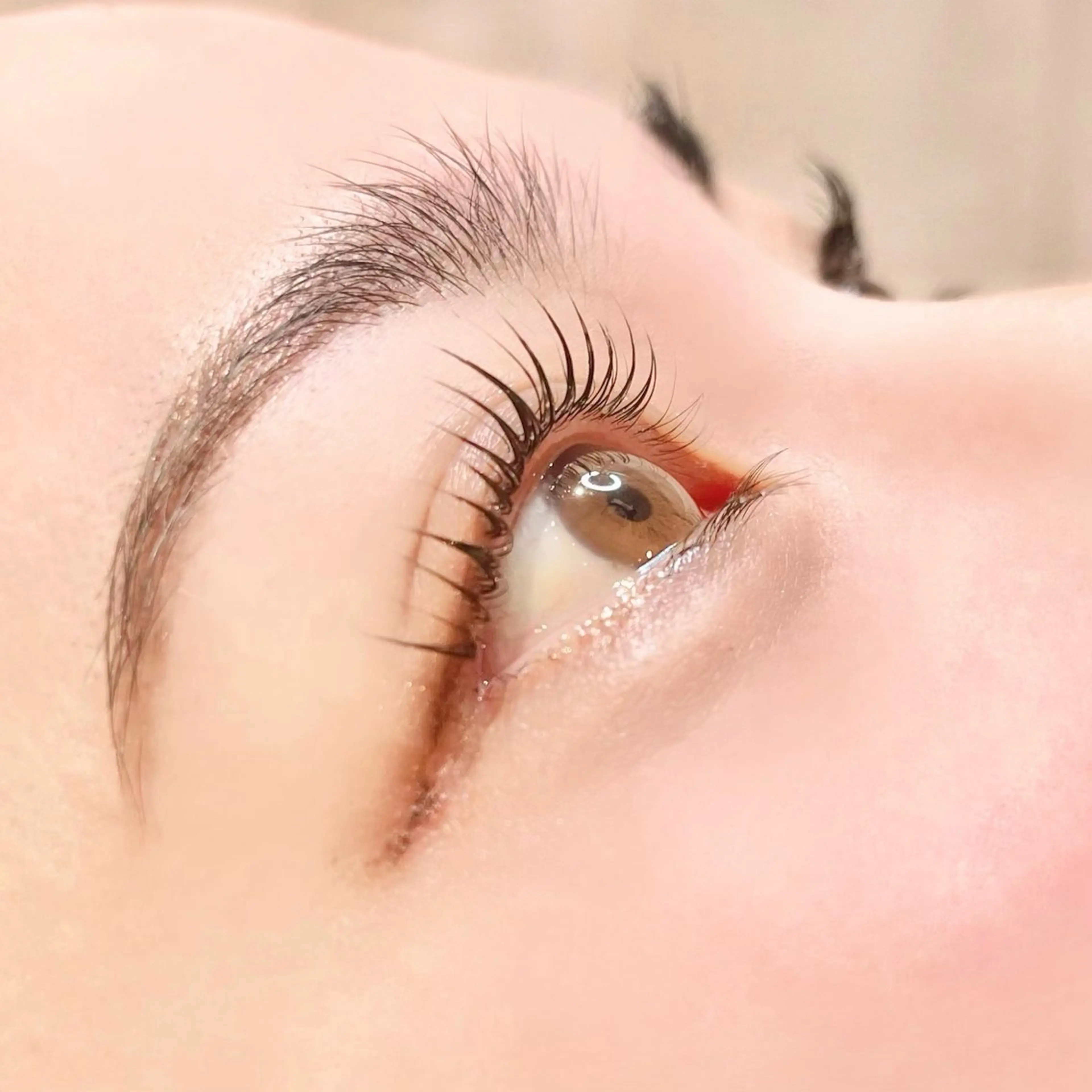 ãããšã¯ã»ããã äžéÃãŸã€æ¯ããŒã Ciel linksã®ãããšã¯ã»ããããã¶ã€ã³