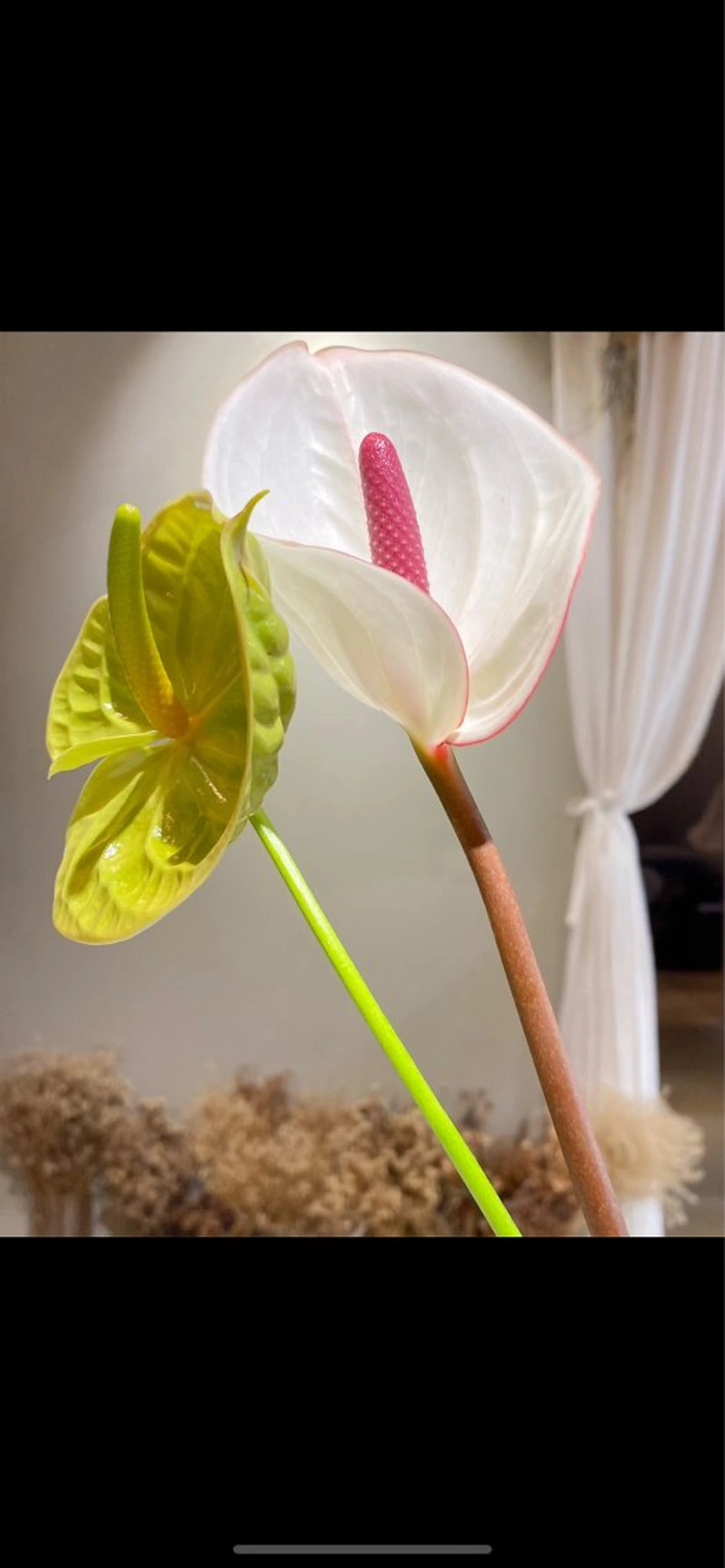 erika /韓国ヘアのヘアスタイル