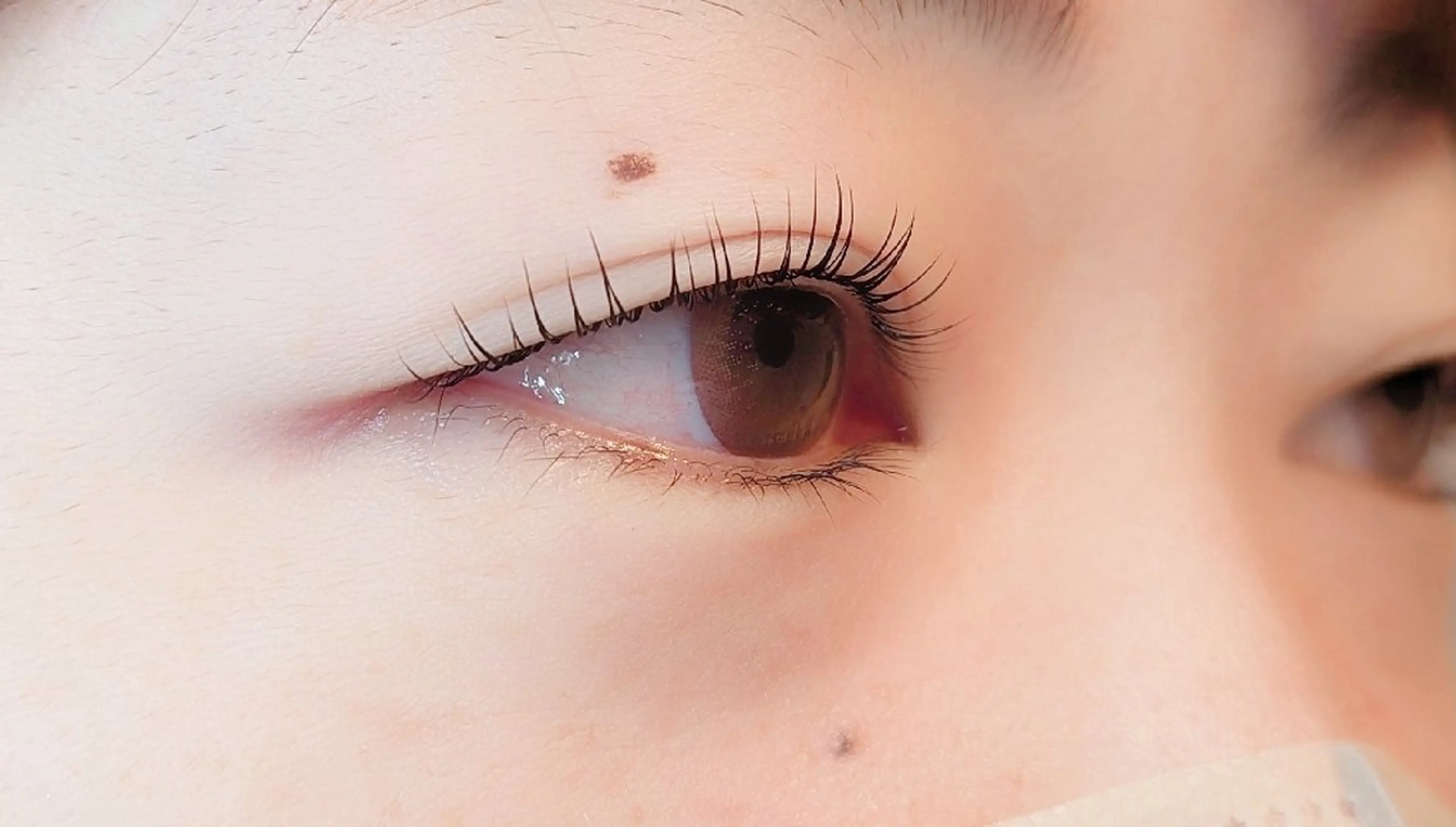 マツエク・マツパ ikumi  watanabeのエステ・リラクイメージ