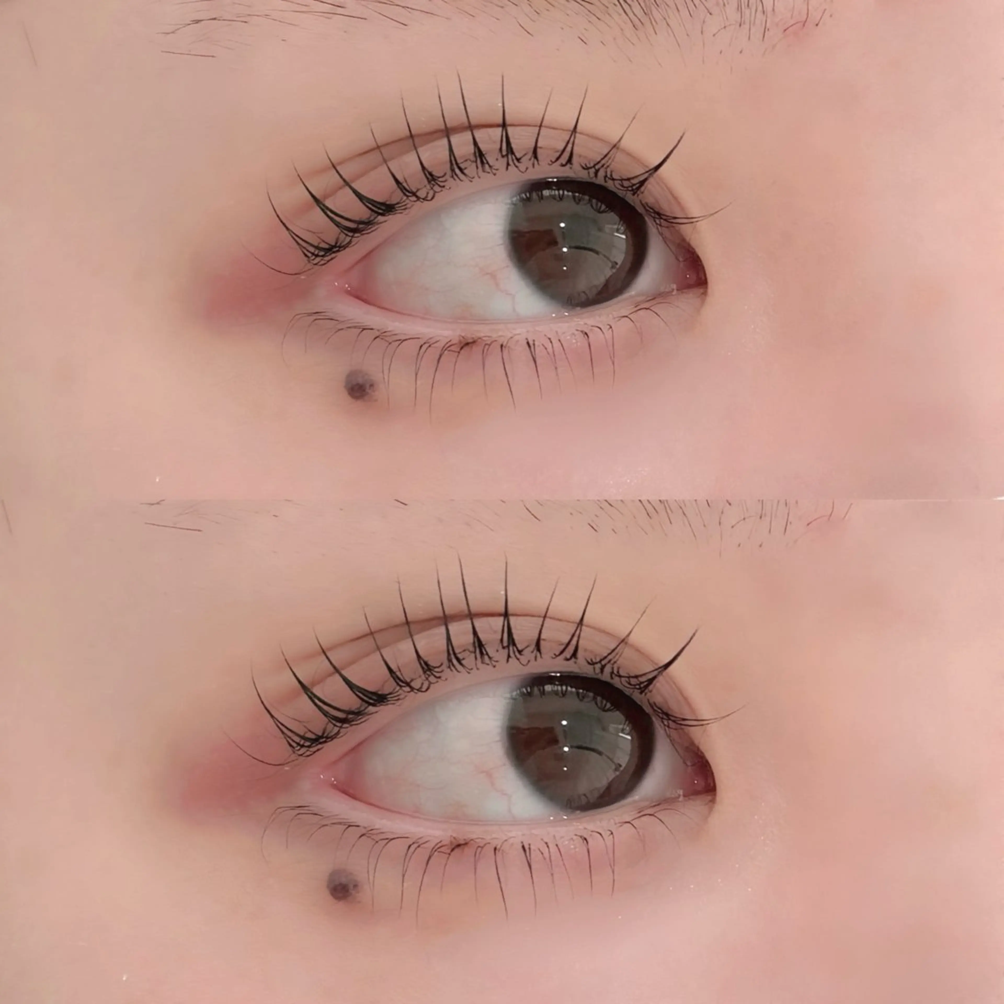 マツエク・マツパ マツパ Zina船橋北口🍒 Mikuのマツエク・マツパデザイン