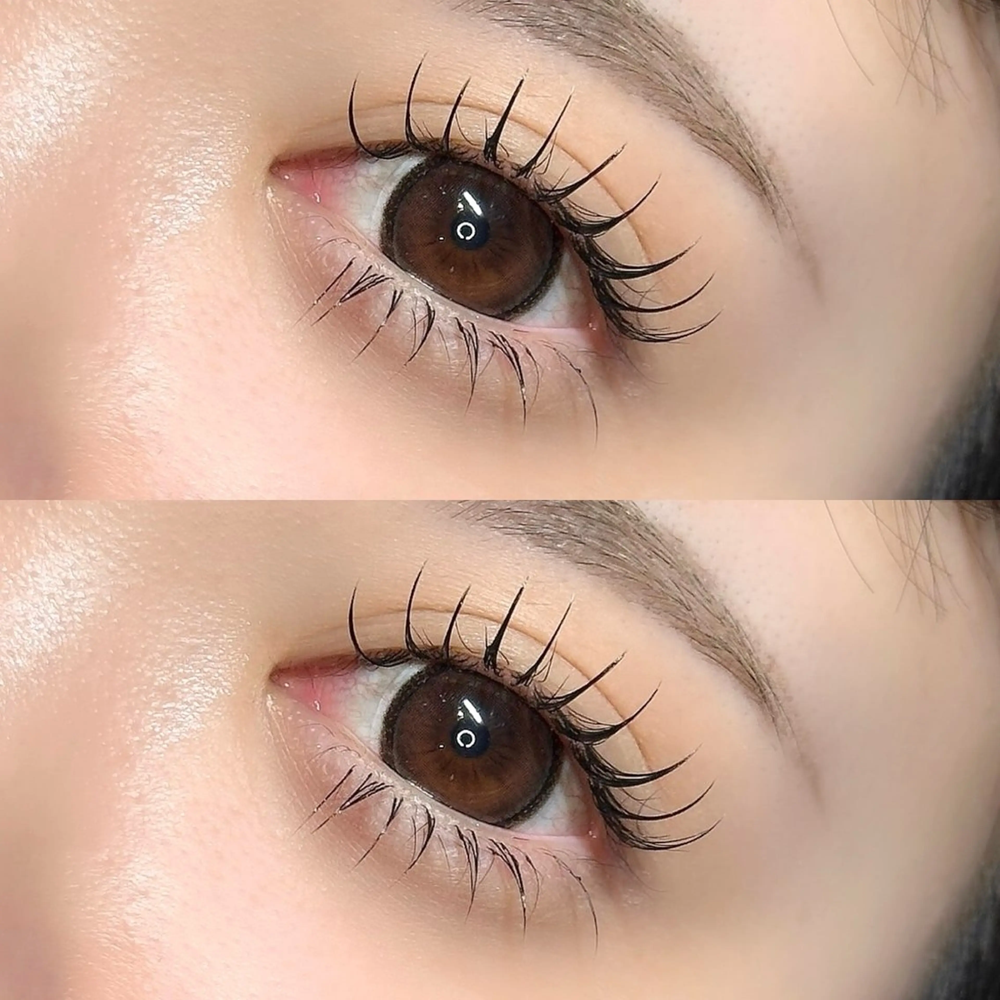 🎀下まつげエクステ40本 🎀の写真