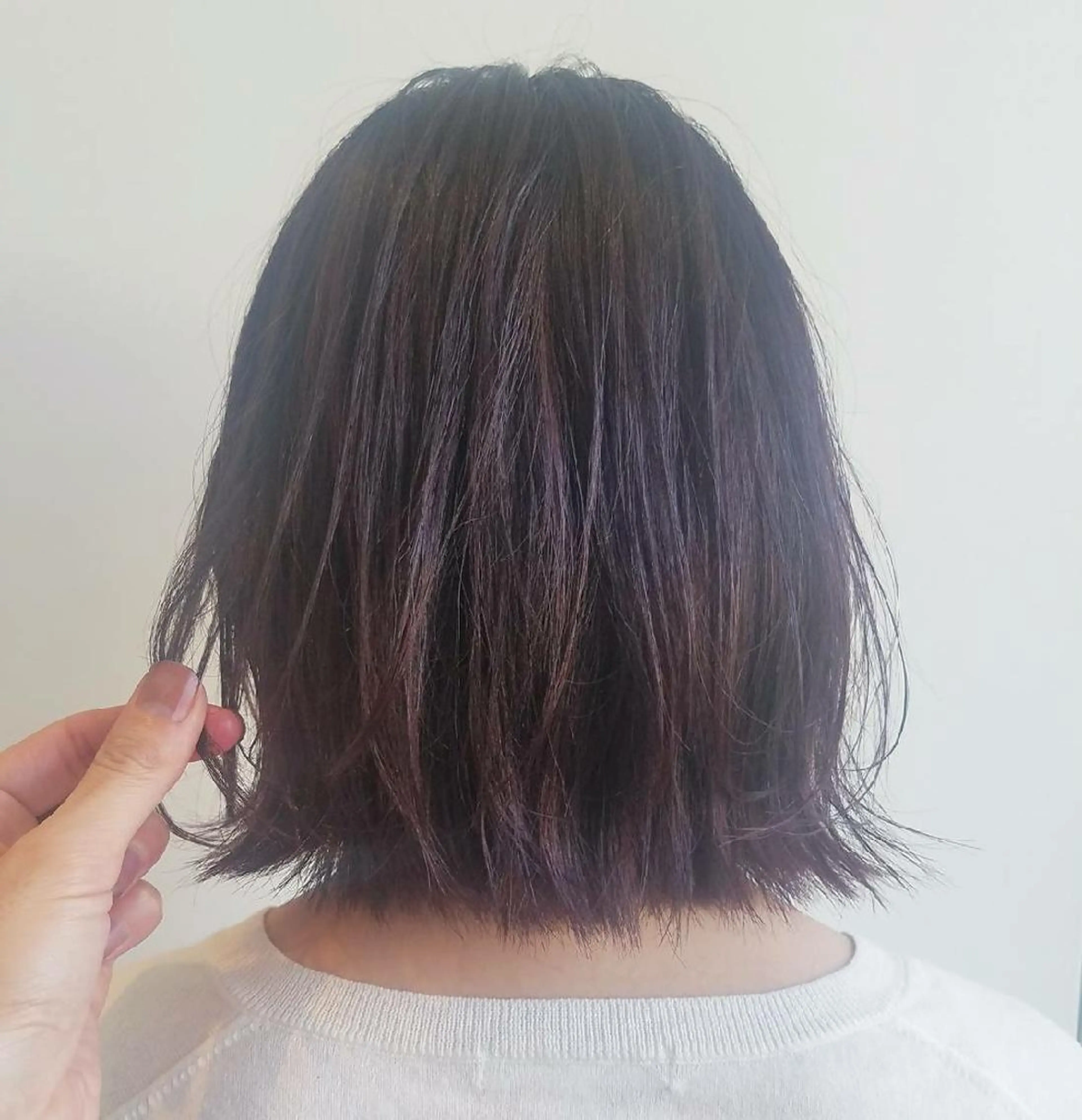 ミディアム カラー ボルドーカラー ピンクカラー ボブ iplus まつげ、眉毛、耳つぼのマツエク・マツパデザイン