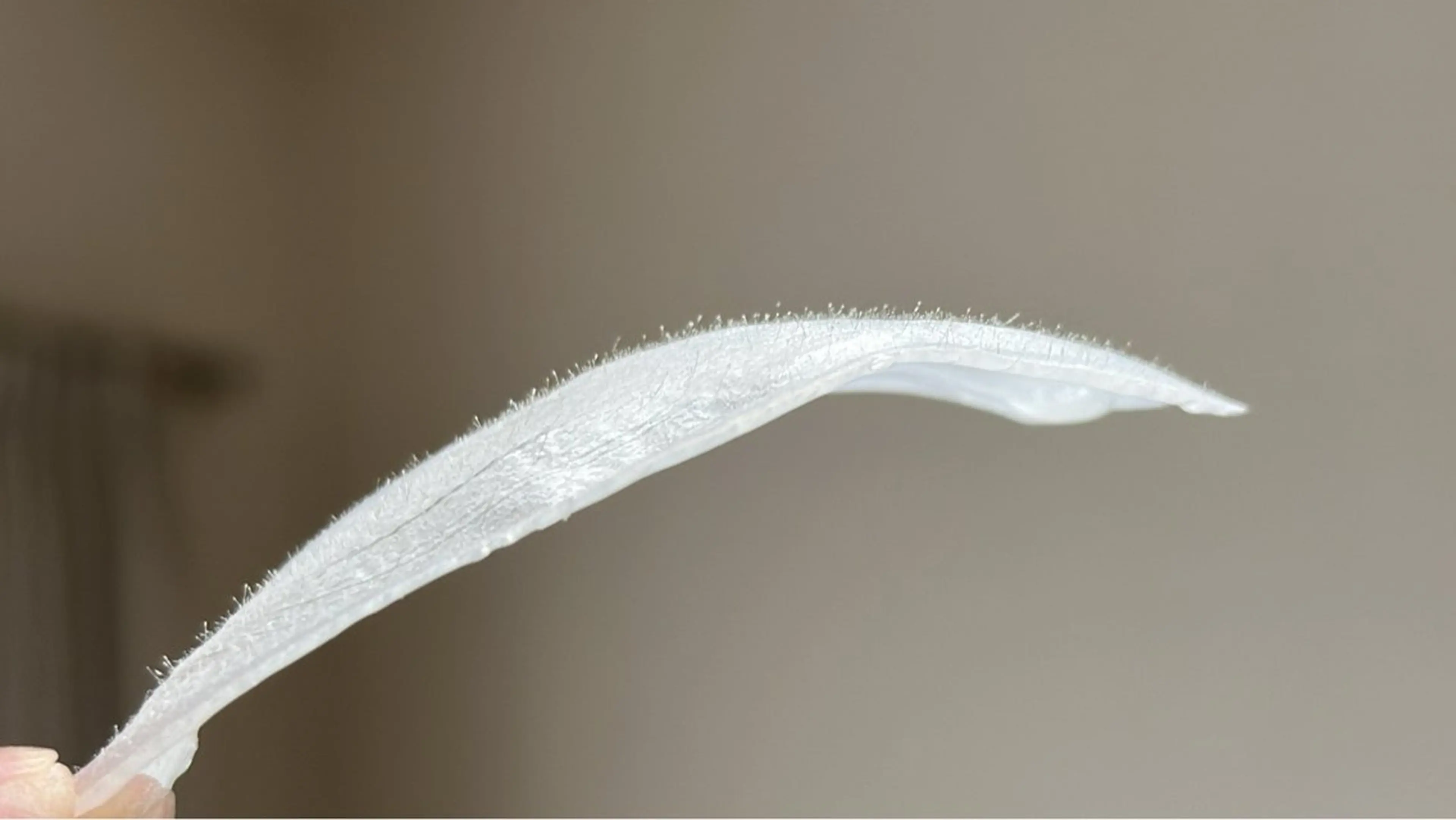 Salon de me'reのエステ・リラクイメージ