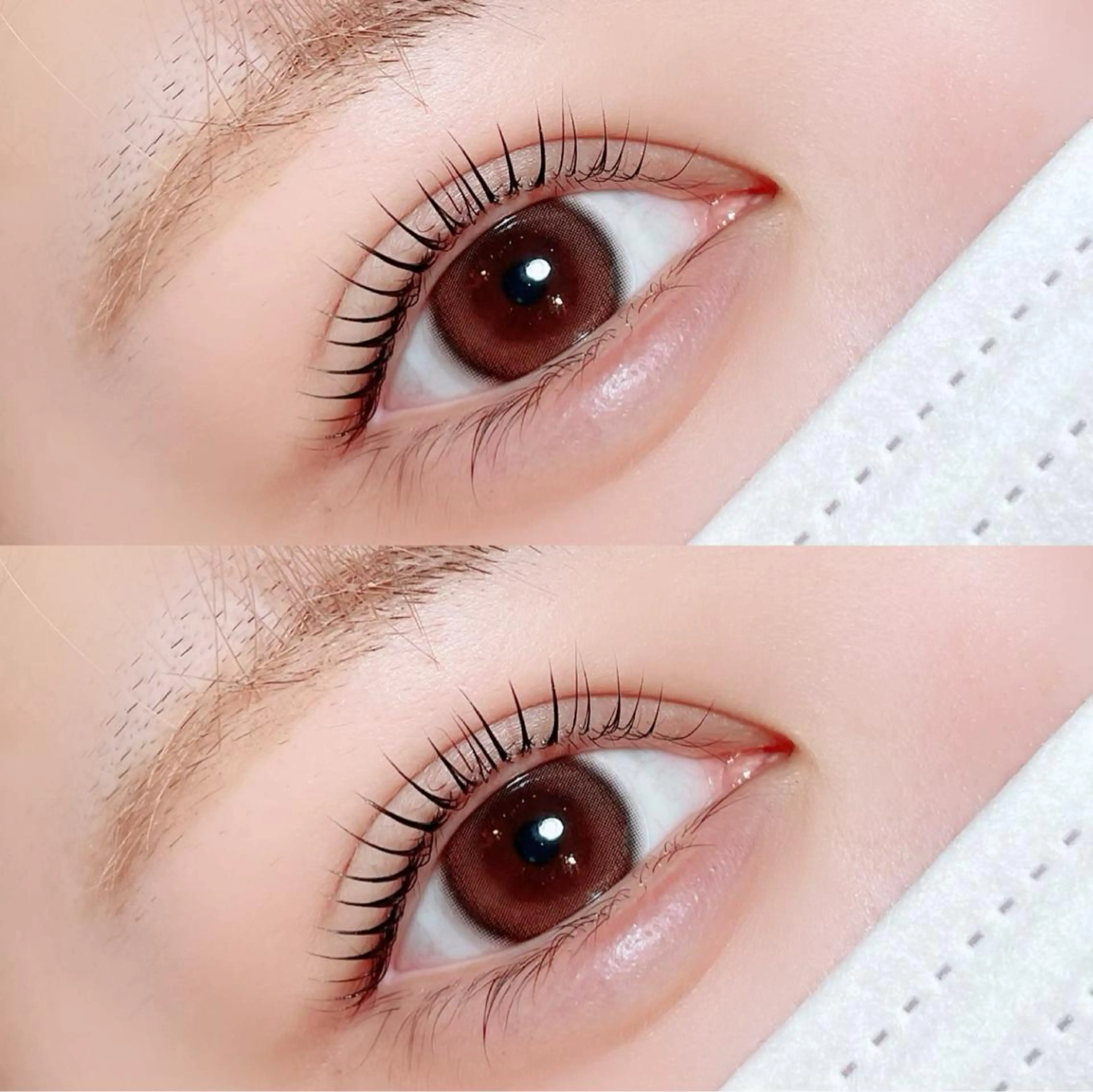 マツエク・マツパ mignon /まつげパーマ/眉毛のエステ・リラクイメージ