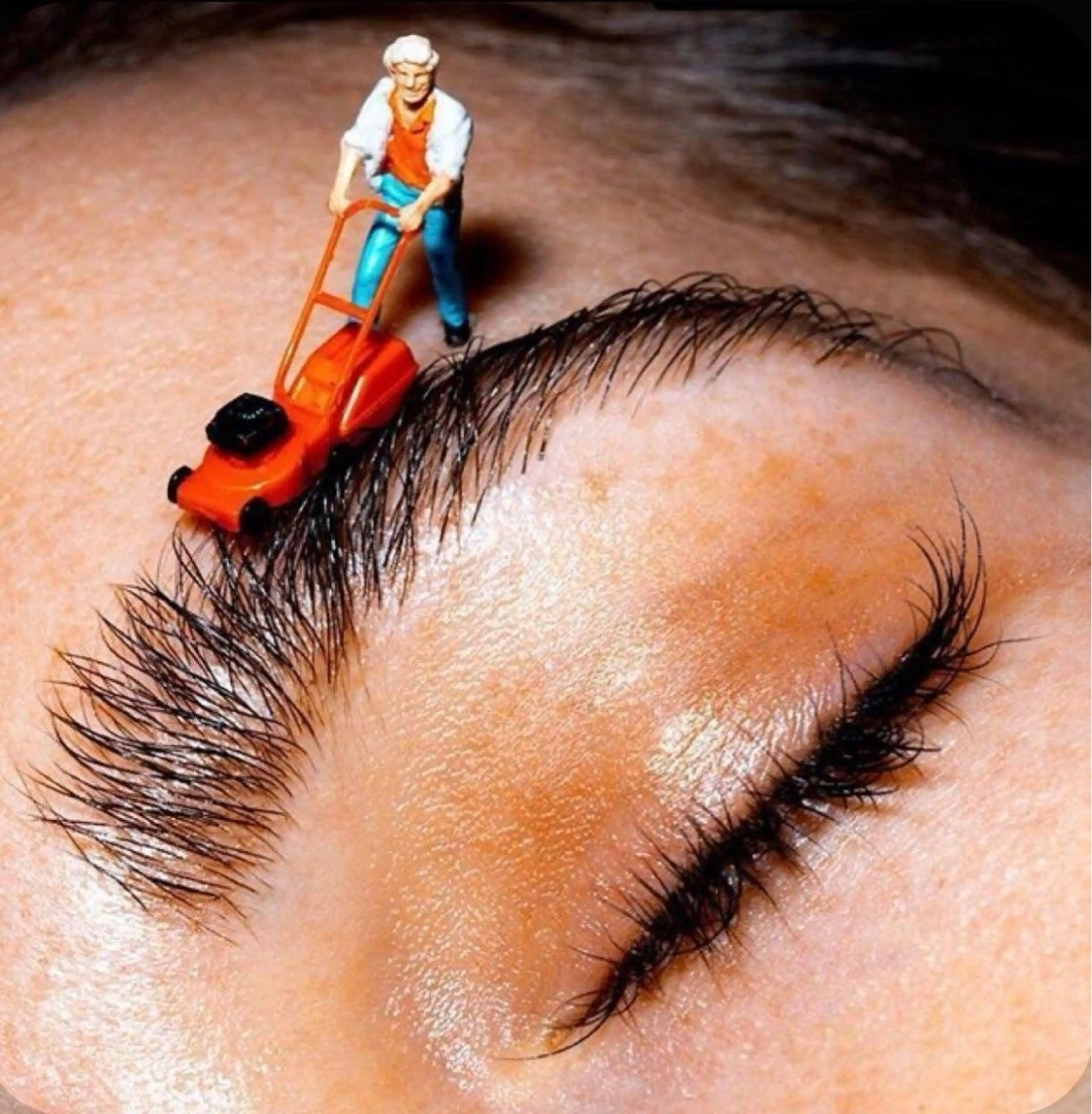 メンズ アイブロウ BROWS/ NAILSの眉毛・アイブロウイメージ