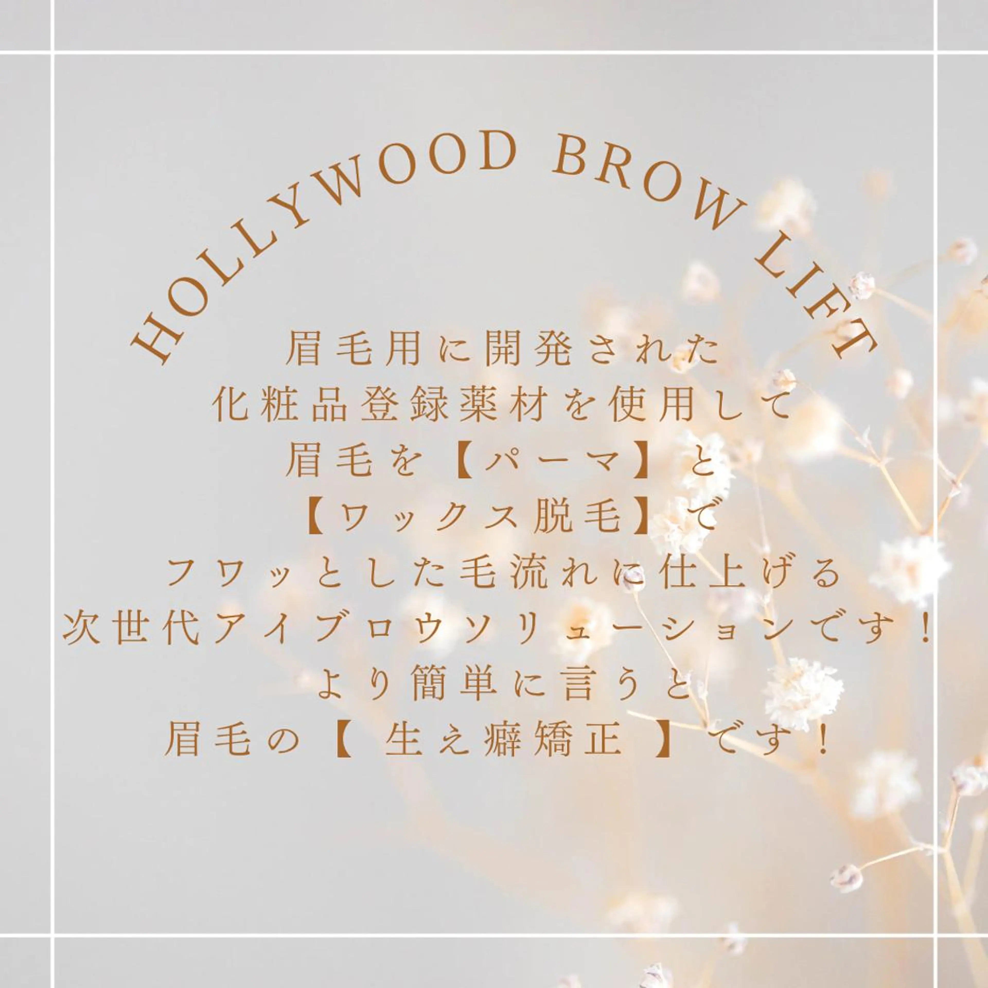 【Amour】 アムール🪄の眉毛・アイブロウイメージ