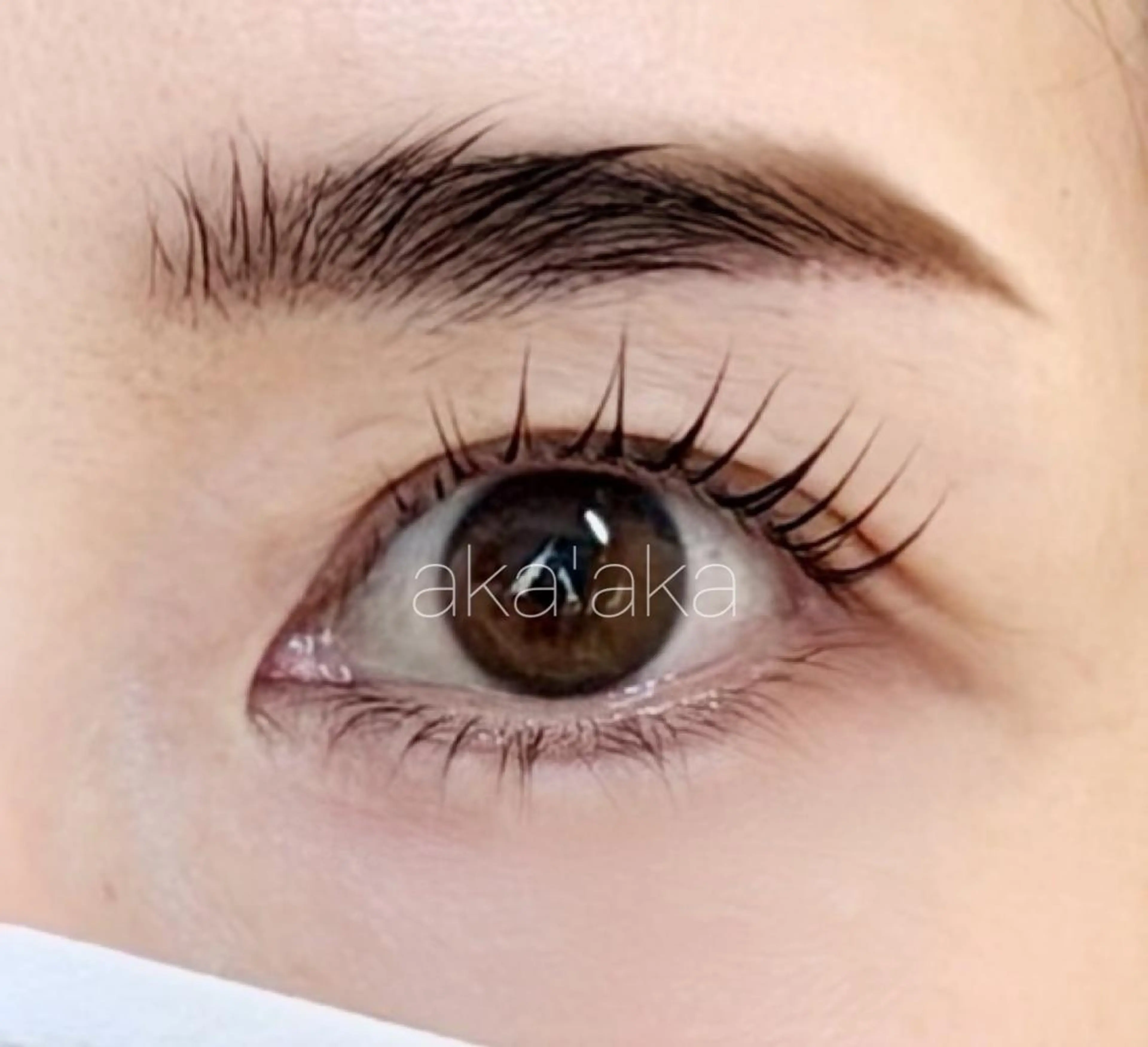 まつげパーマ(パリジェンヌラッシュリフトなど)の無料モデルさん募集☆の写真