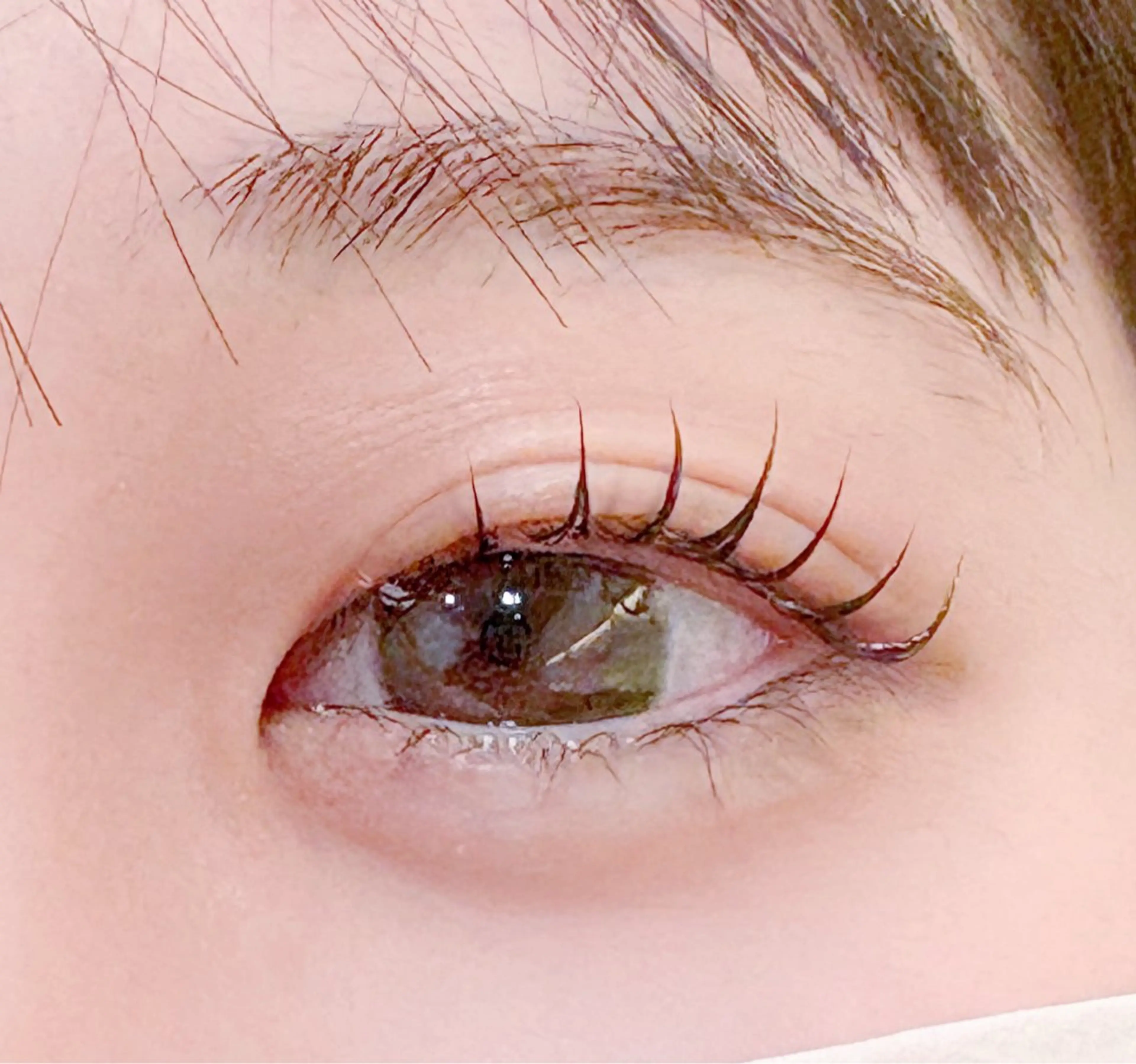 【学生限定】まつ毛パーマ＋高級コーティング仕上げ￥3200の写真