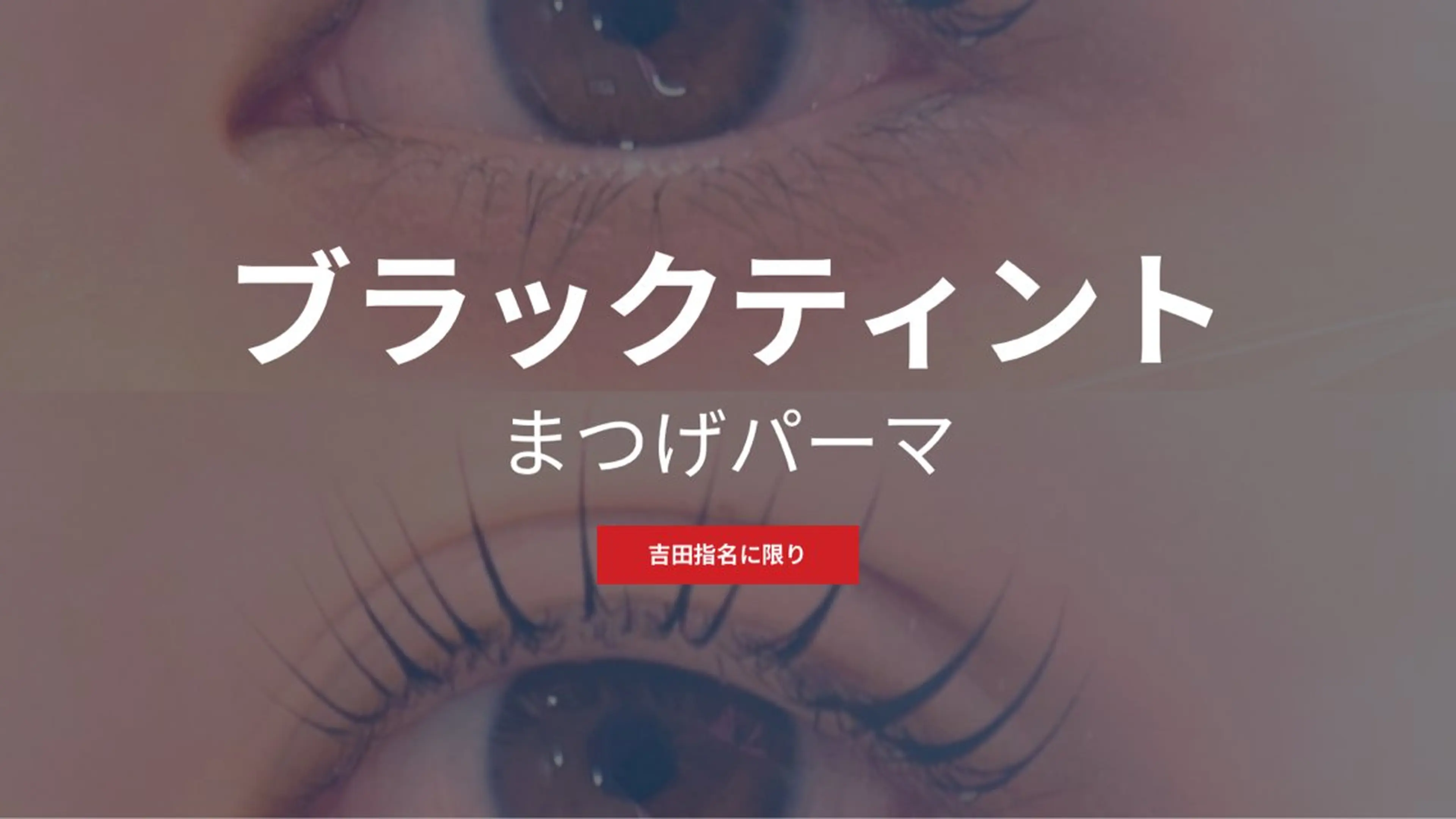 【まつ毛を黒く魅せる🖤⟡.·ティント付き】¥5700でご案内🫶🫧の写真