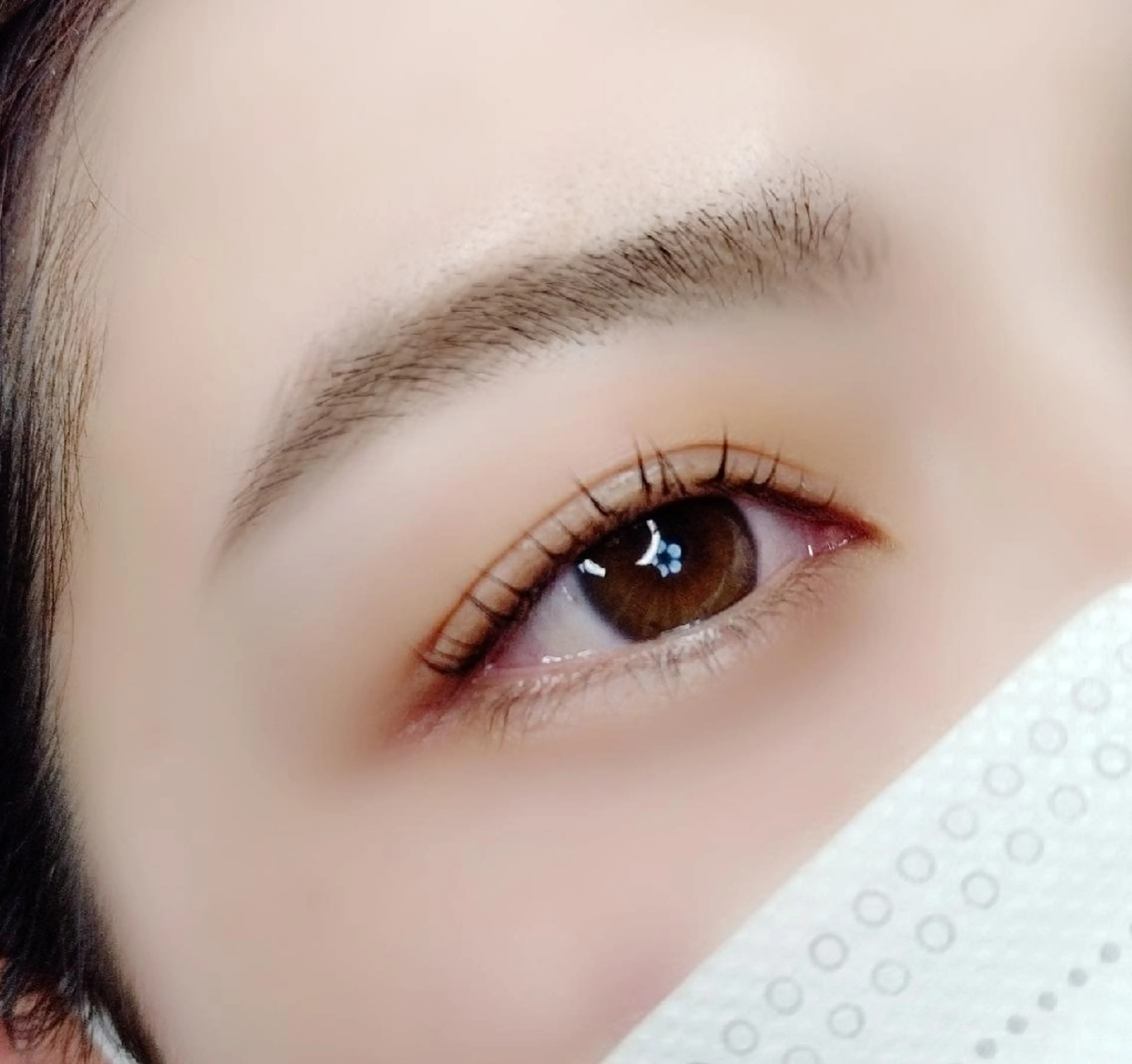 マツエク・マツパ まつげパーマ maison calmeのマツエク・マツパデザイン