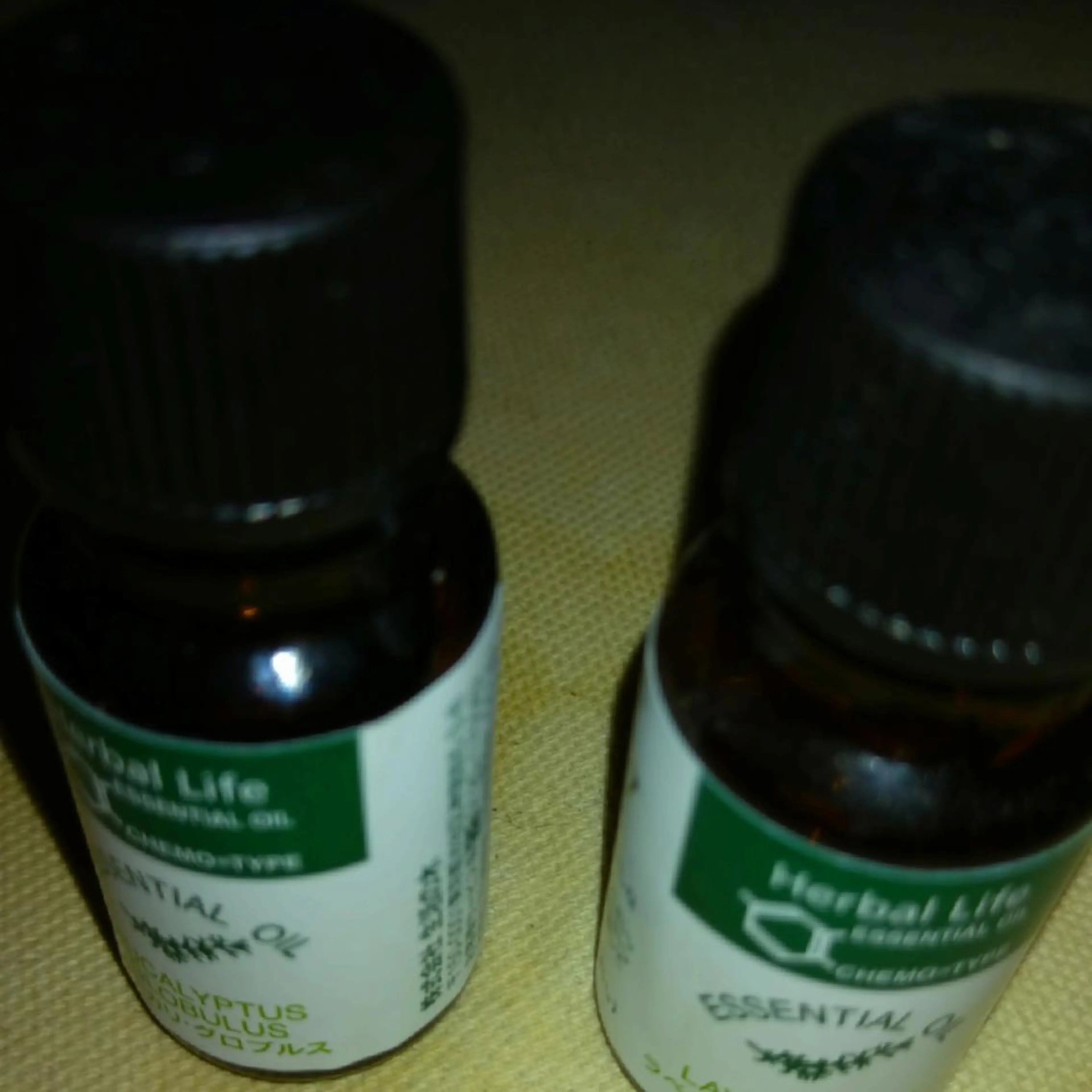 山本 ひろ美のその他イメージ