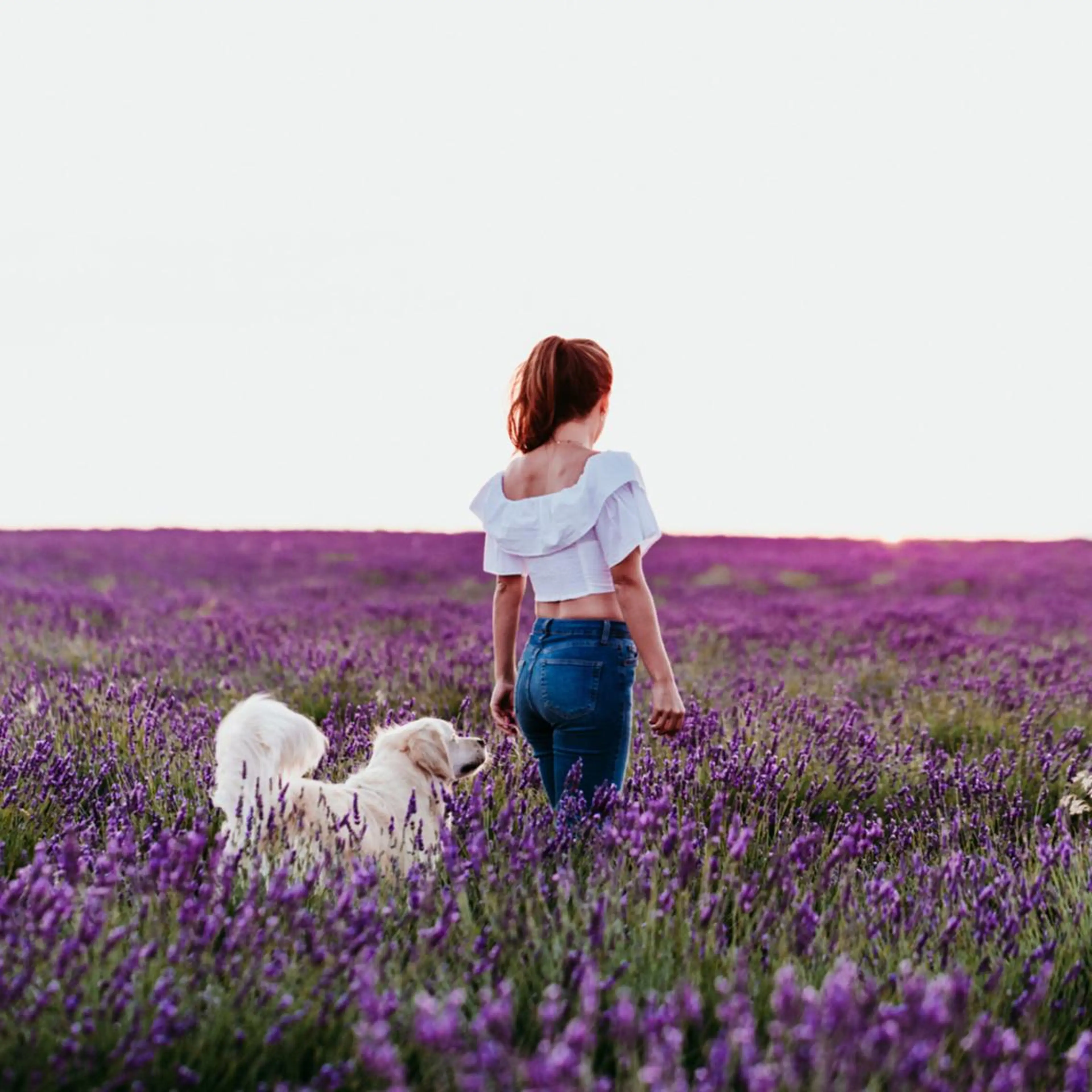 【むくみすっきり！毛穴の老廃物】体も心も断捨離✨ラベンダーの爽やかな香りで人気「SOU」ハーブブレンドよもぎ蒸し40分の写真