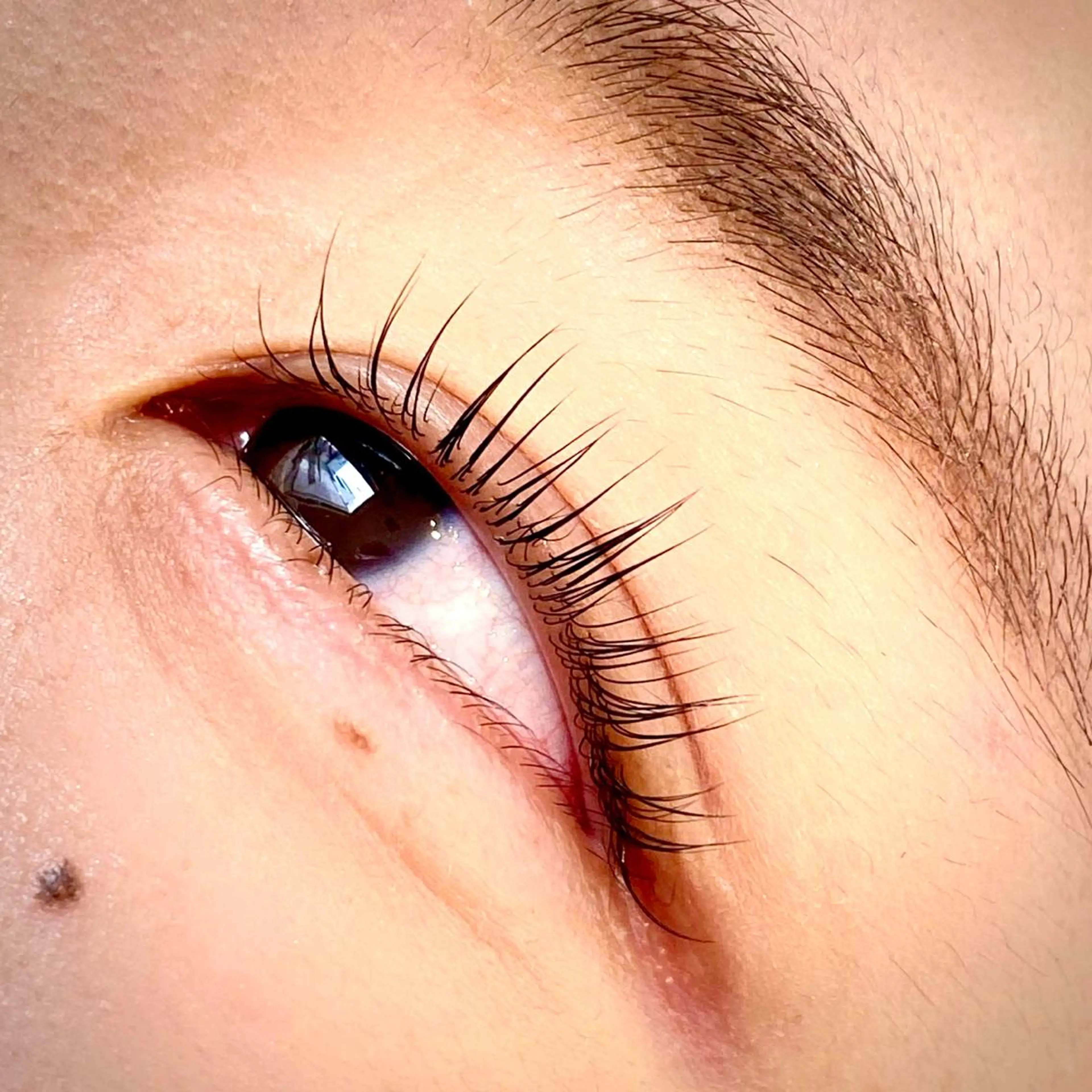 マツエク・マツパ chatran ishimochiのマツエク・マツパデザイン