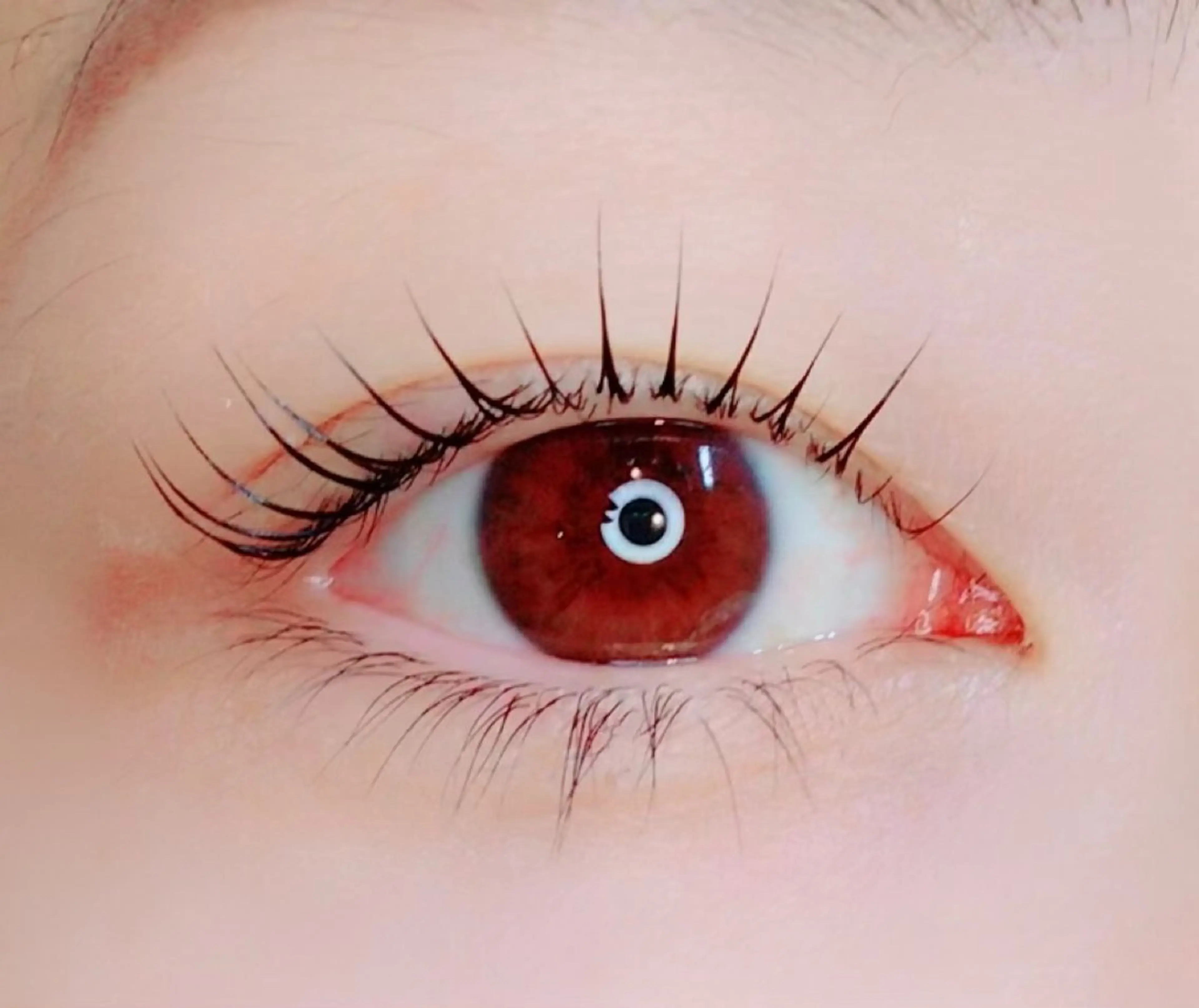 本日限定🩵¥4200🩵まつ毛パーマケラチントリートメント付き☆パリジェンヌの写真