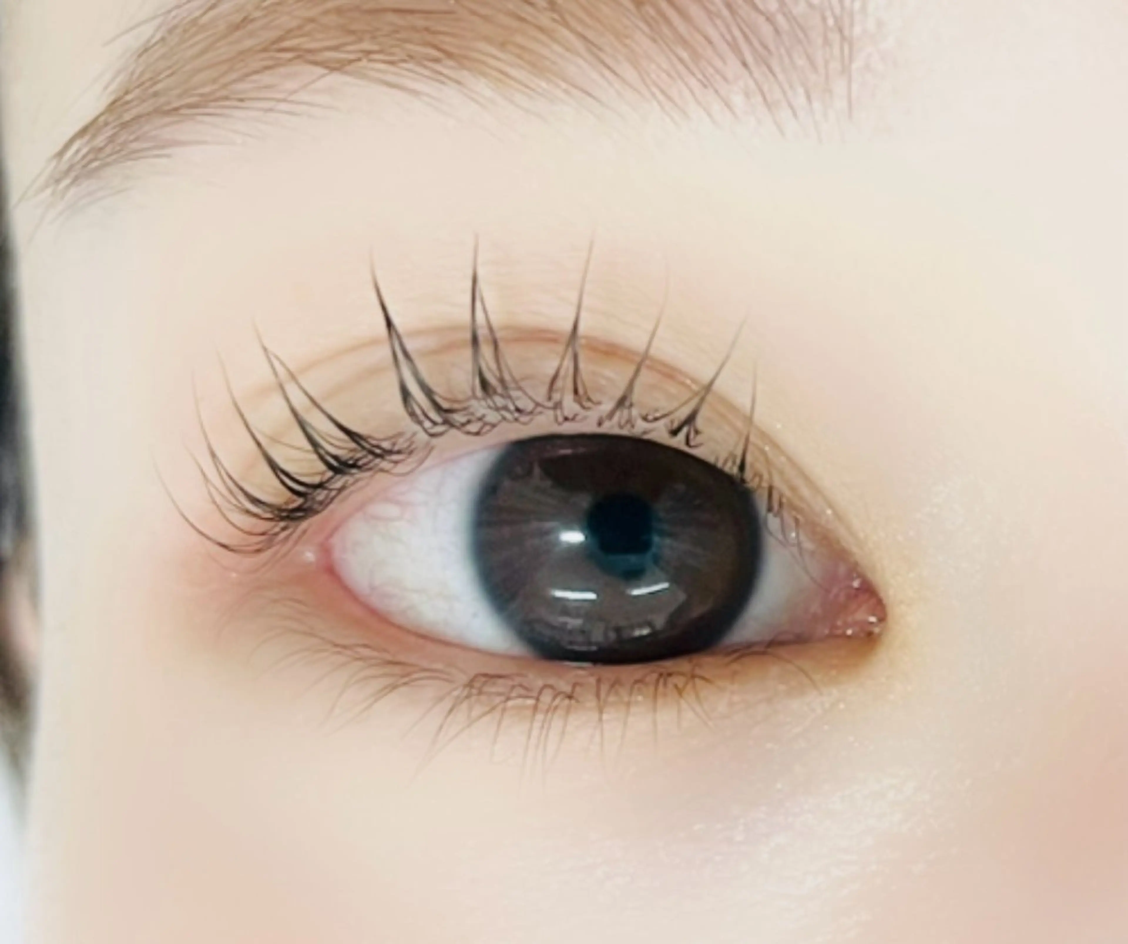 マツエク・マツパ パリジェンヌラッシュリフト MEME【メメ】所属・O. あやこのマツエク・マツパデザイン