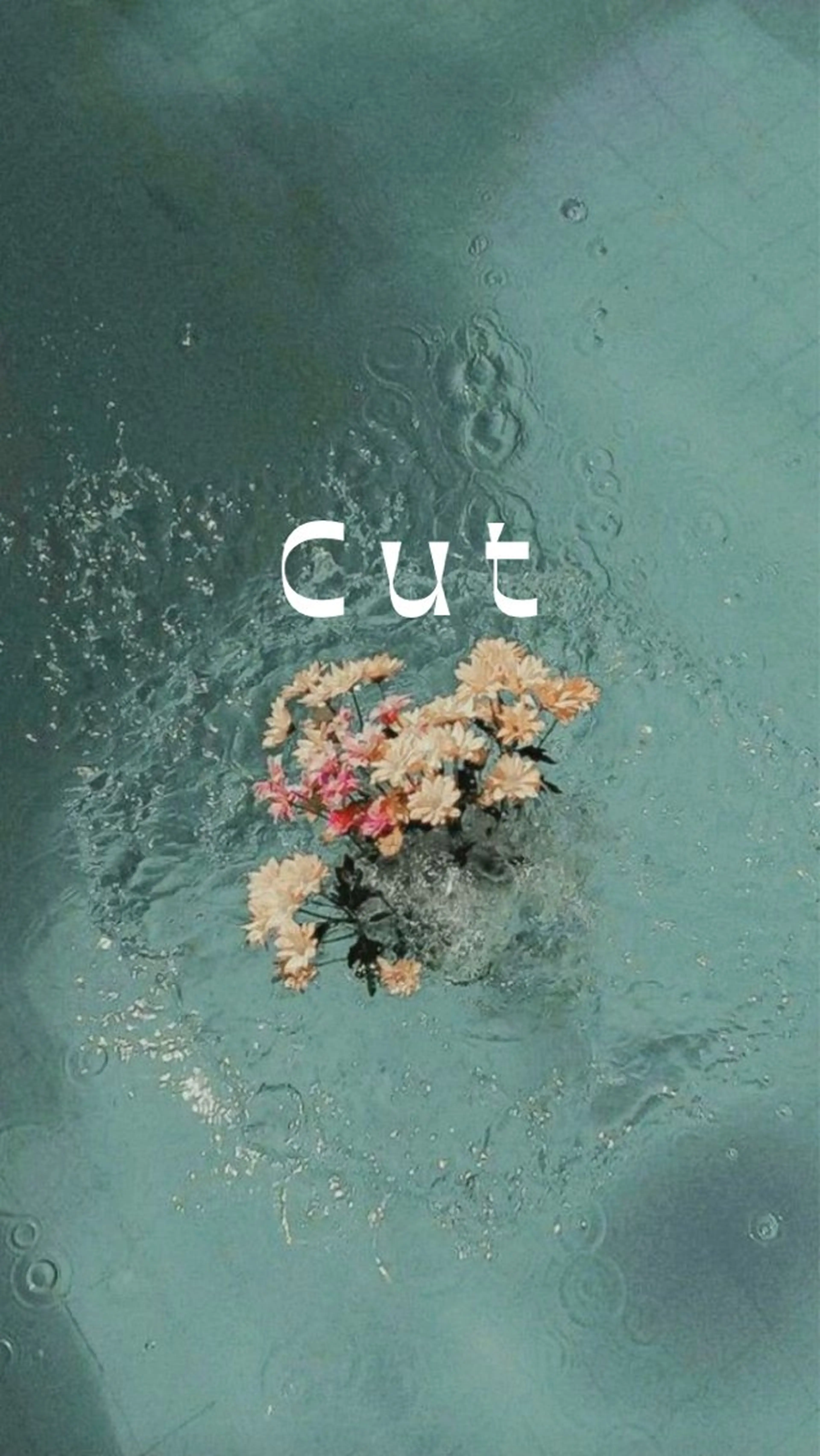 🌸韓国風ヘアカット＋プレトリートメント🫧の写真